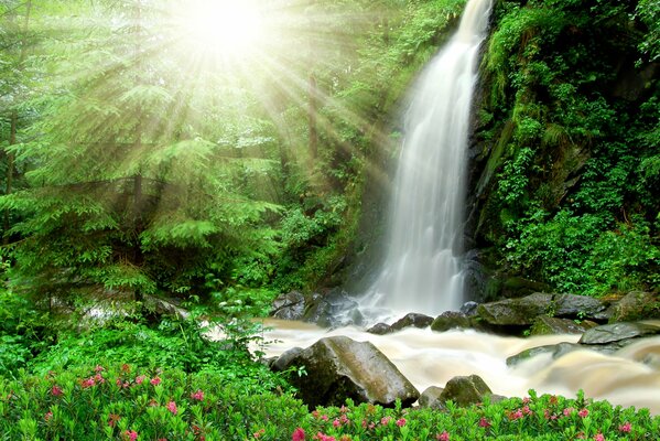 Waterfall under the rays of the bright sun