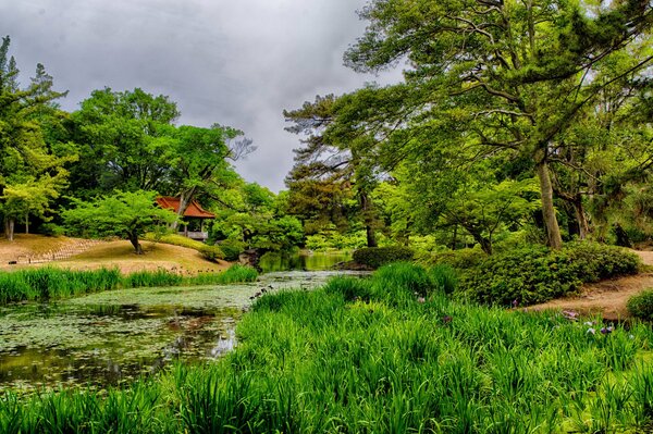 Japanese house among grass and trees