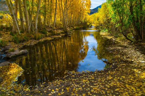 Fluss im Hintergrund der Herbstlandschaft