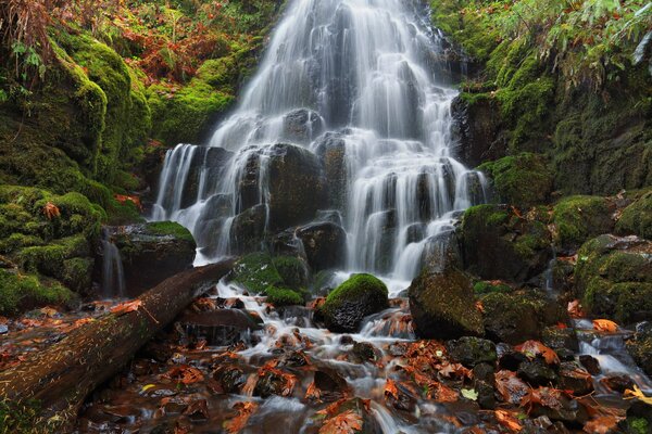 Die Kaskade der Wasserfälle im Herbstwald