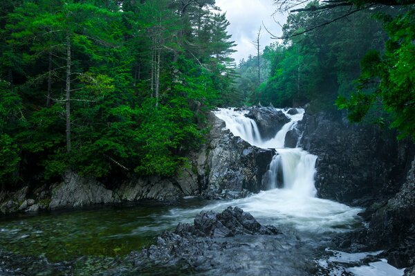 Cascata. Natura. Fiume di montagna