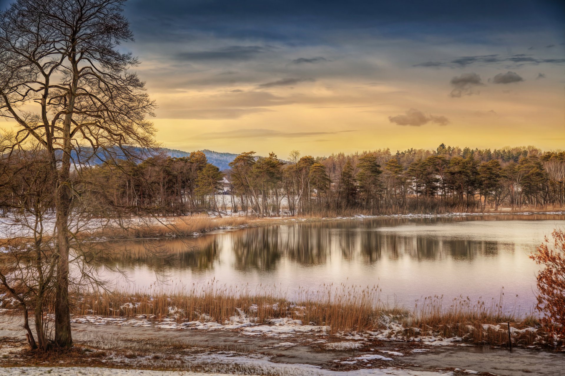 winter lake winter lake sneg.derevya processing