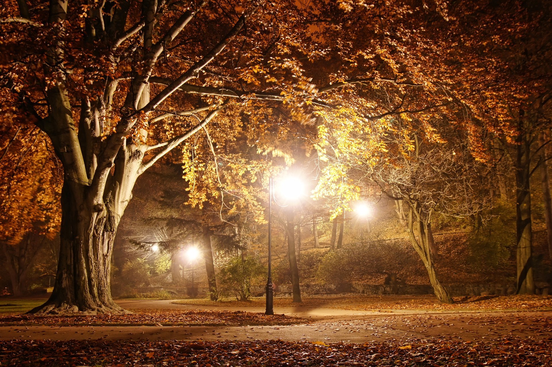 noche romántica árboles de otoño carretera parque naturaleza hermosa escena paisaje calle poste de luz lámparas noche medianoche linternas linterna lleno