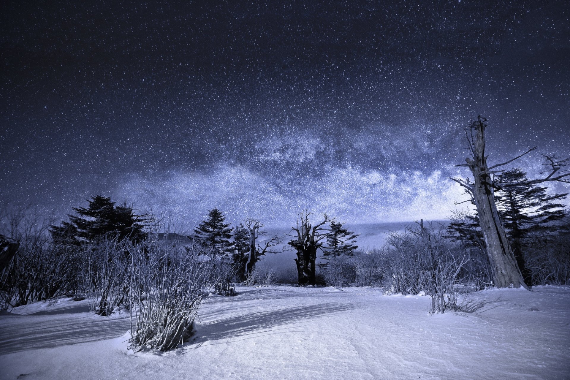 naturaleza paisaje noche estrellas cielo vía láctea nieve invierno árboles arbustos