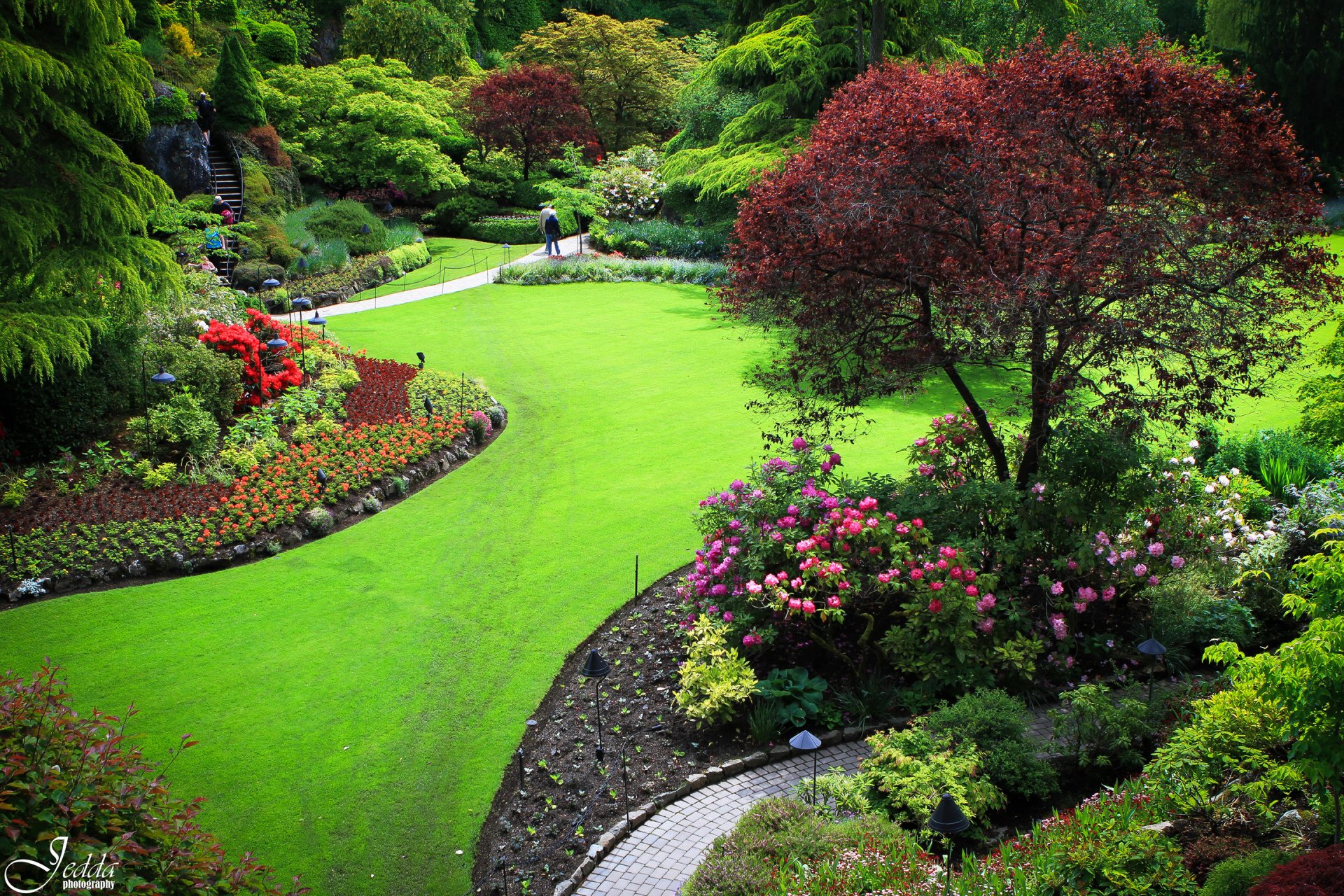 butchart canadá jardín parque árboles hierba césped flores gente