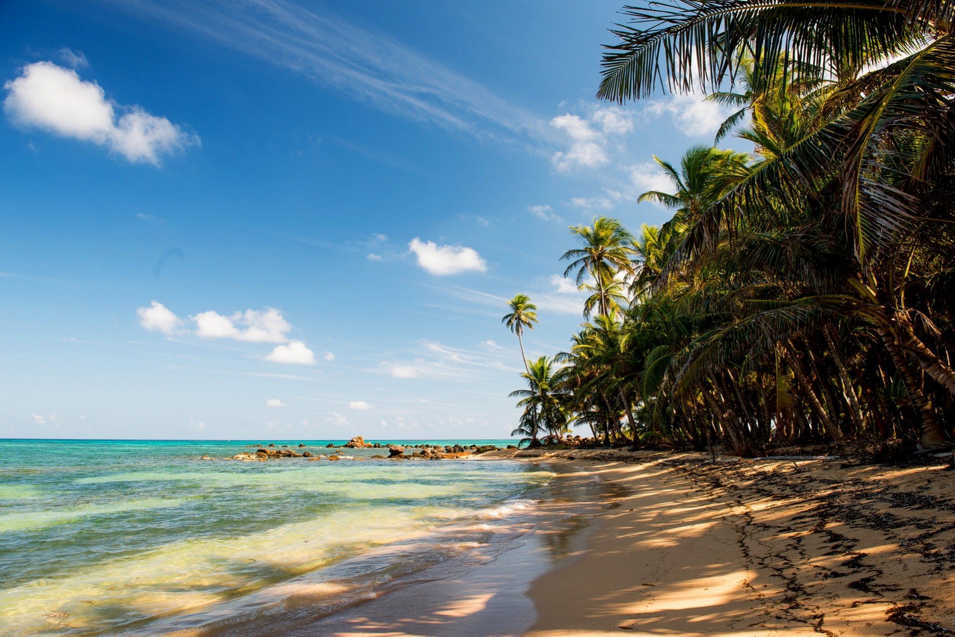 mare tropici spiaggia sabbia palme pietre