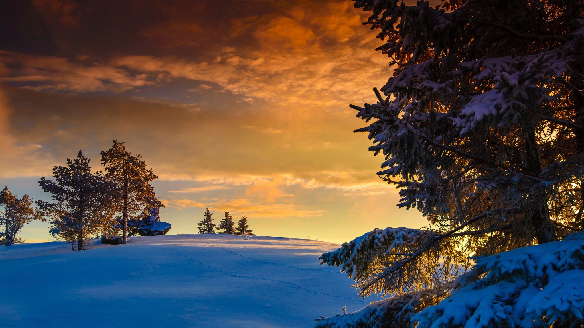 norway snow sun