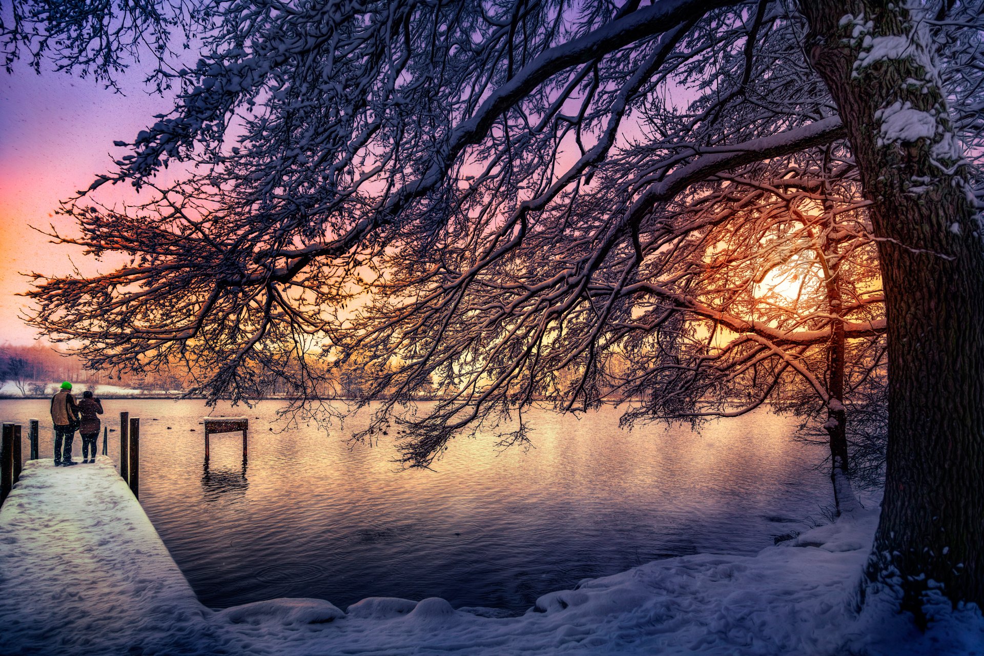 katzensee швейцария дерево снег солнце обработка