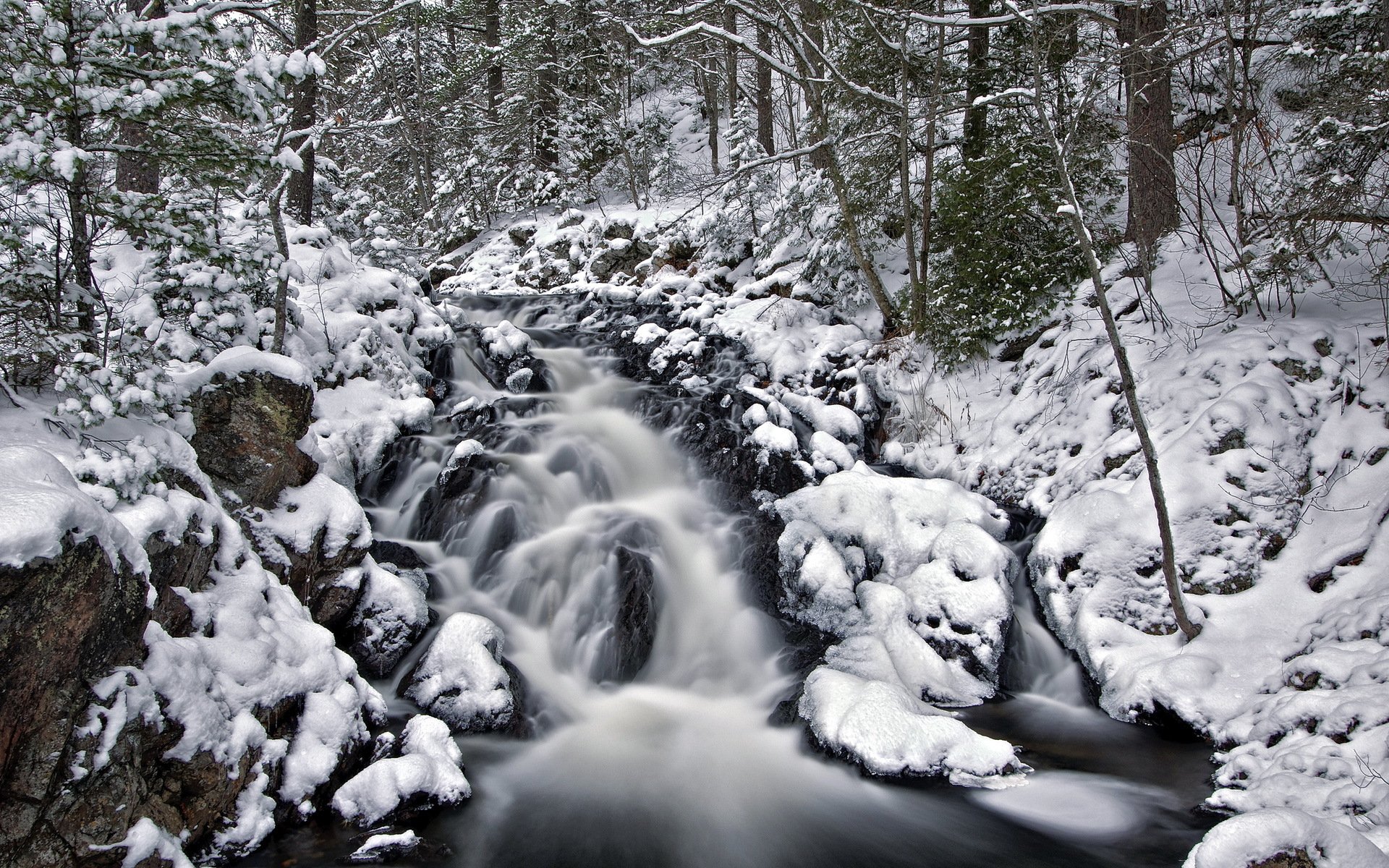 wald fluss winter natur