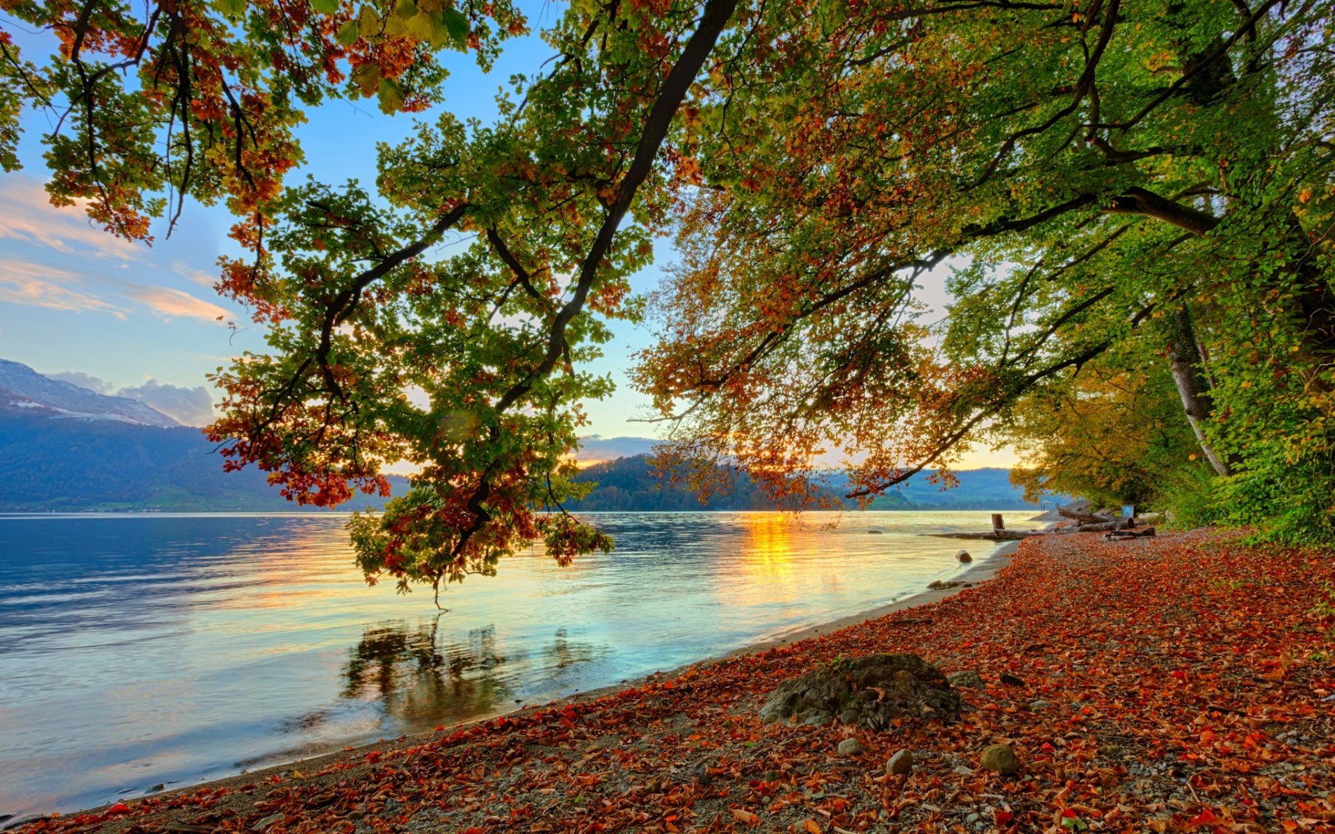 natur herbst küste küste gefallene blätter bäume zweige neigung fluss wasser aufregung reflexionen reflexion berge himmel glühen sonne morgenröte