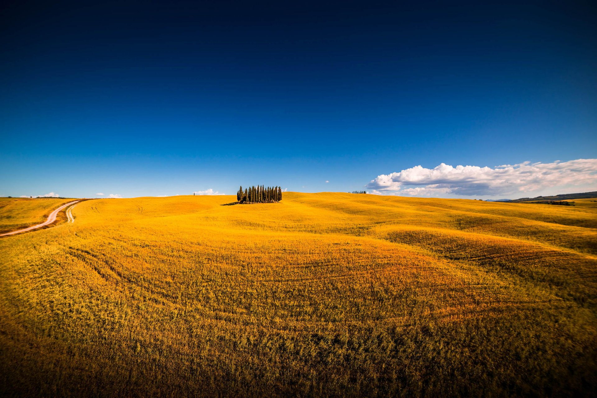 san chirico d orcia siena italien montalcino feld sommer bäume himmel natur