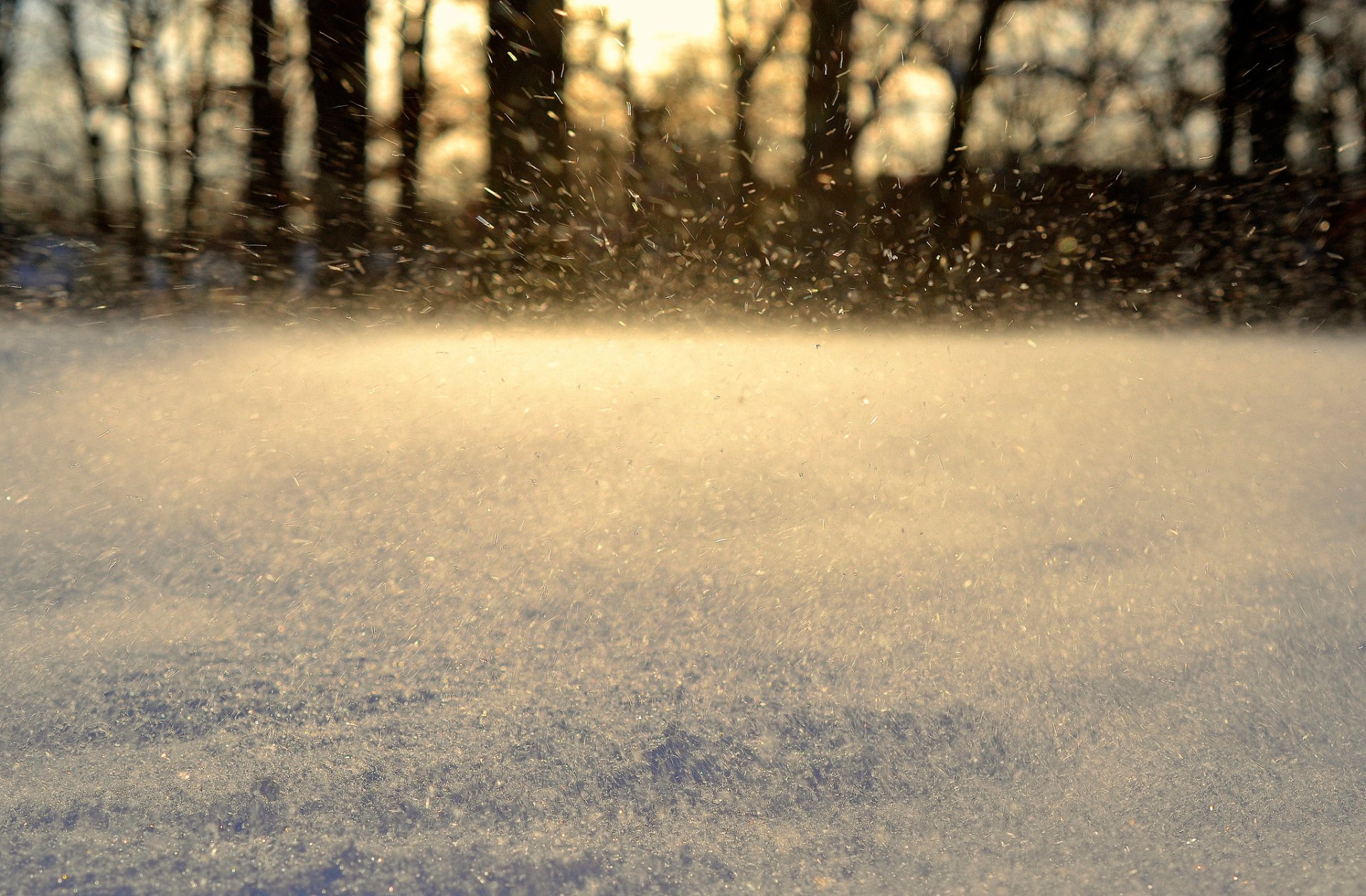 neige sauvage neige flocons de neige hiver mouvement