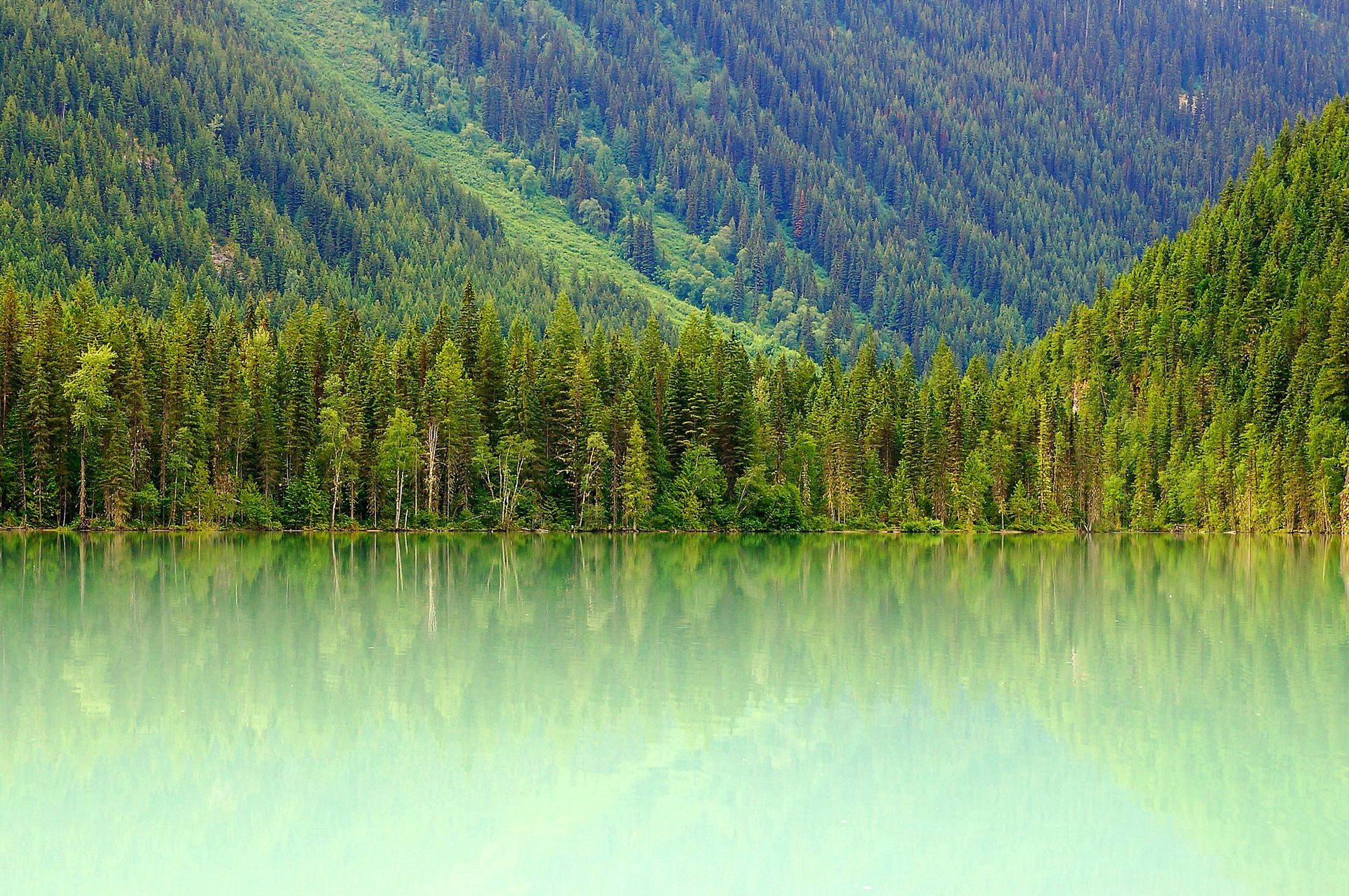 kinney lake mount robson canada slope mountain lake forest