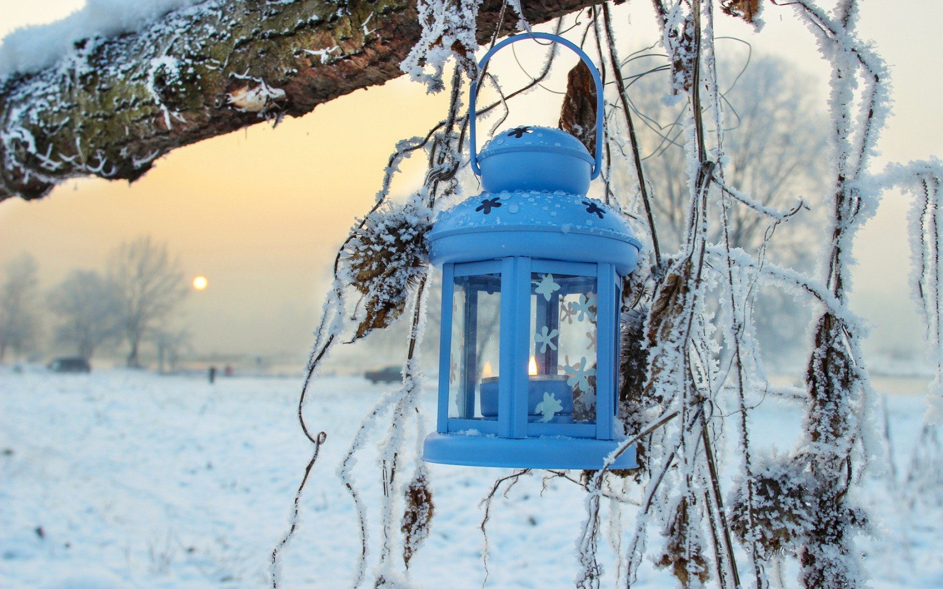 natur winter schnee laterne bäume