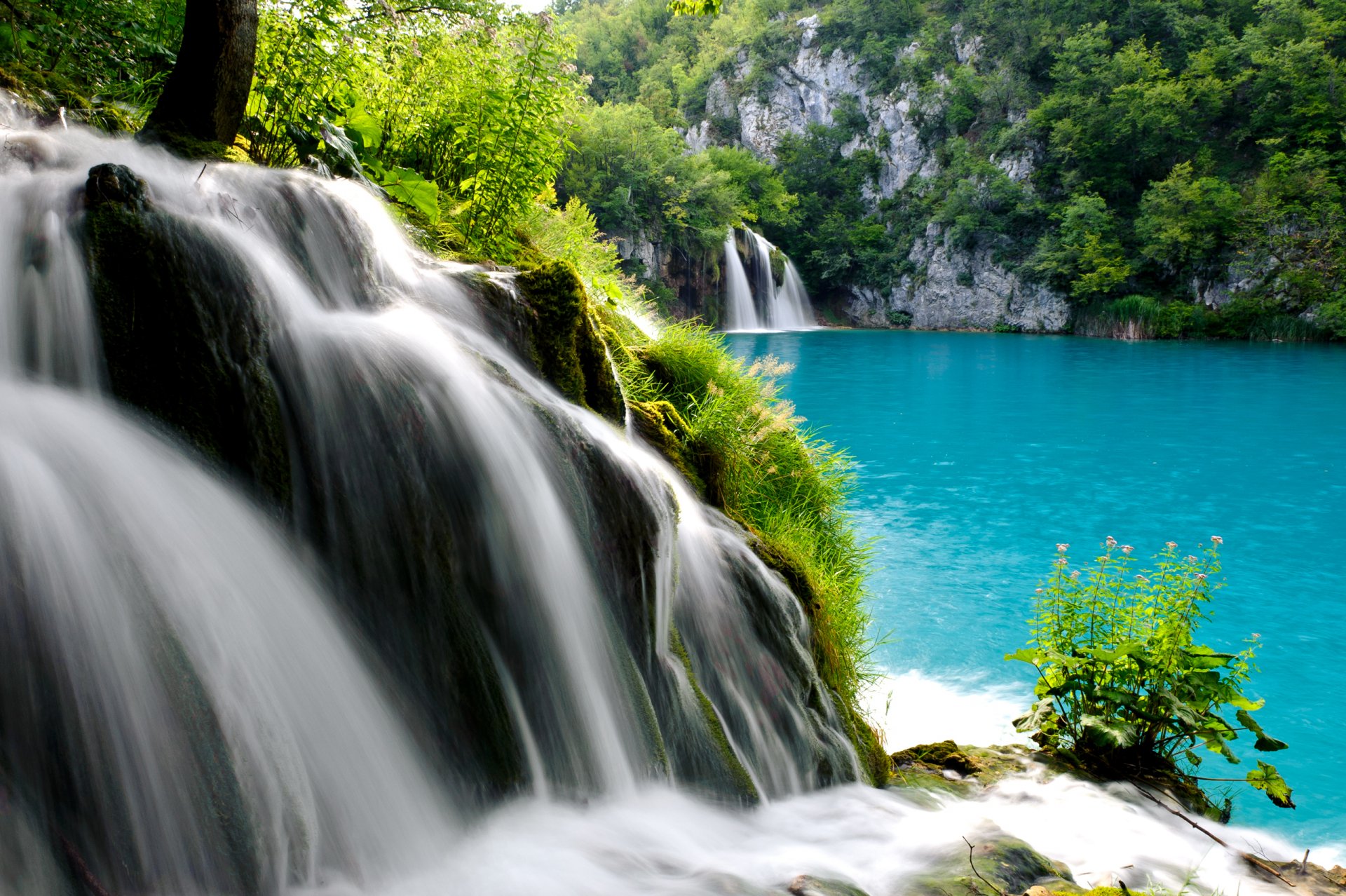 foresta alberi lago flusso cascata