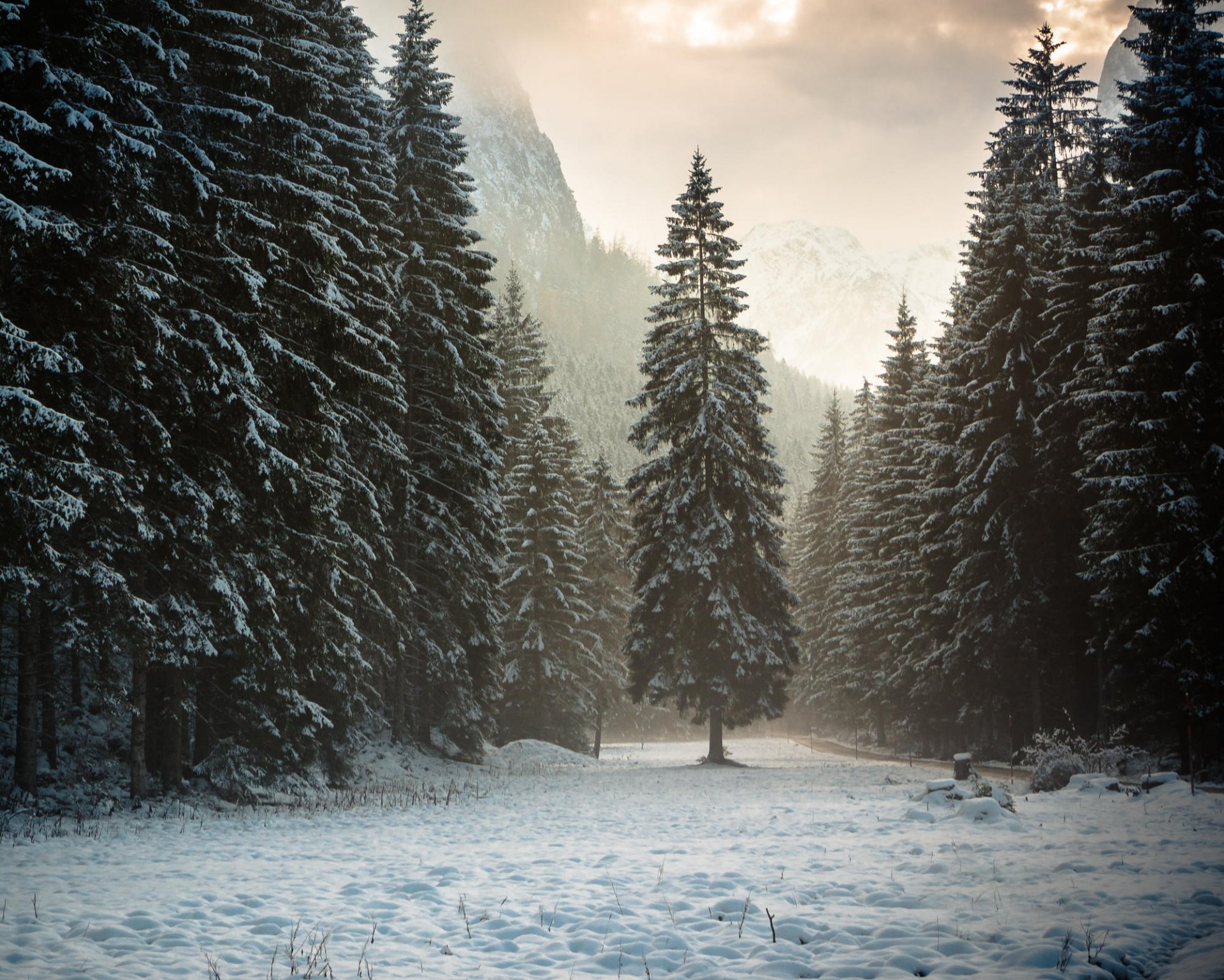 natura austria tirolo montagne alpi foresta neve inverno