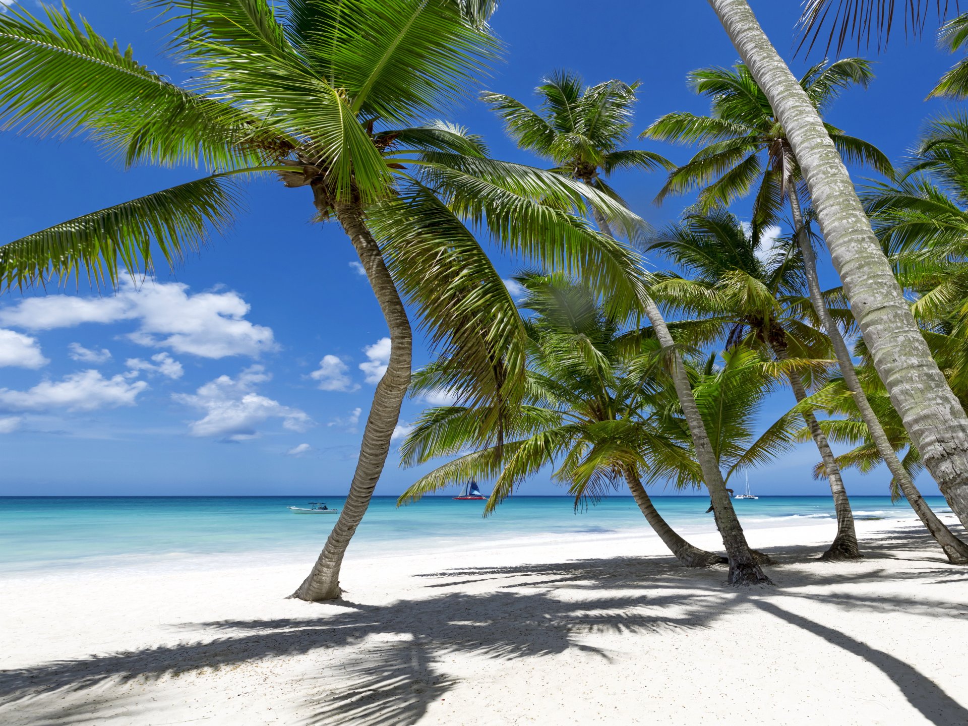 tropisch paradies strand palmen meer ozean sonne sommer urlaub tropen sand ufer