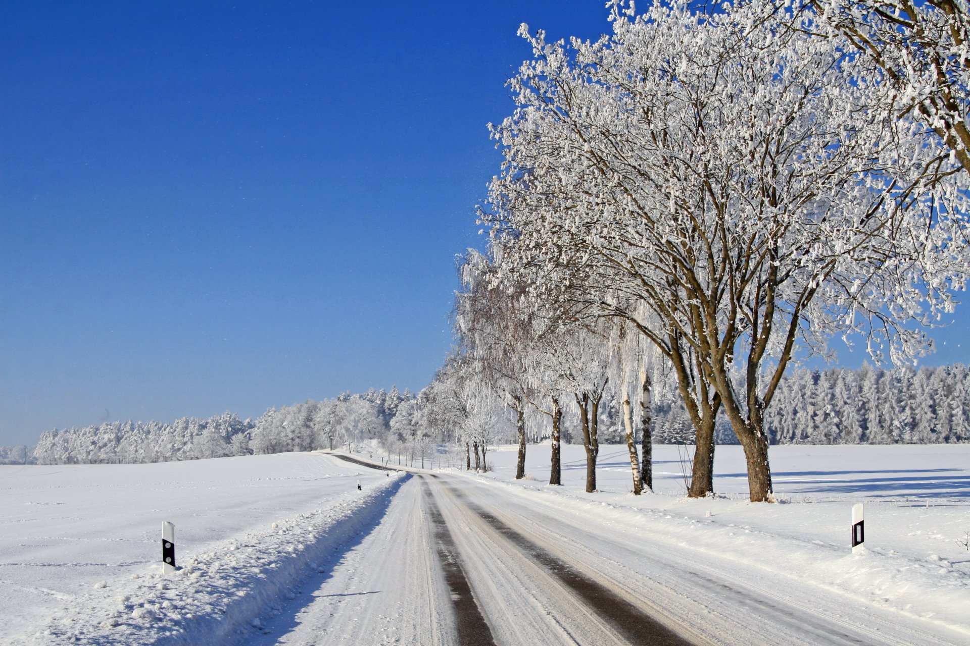 ciel hiver neige arbres route forêt givre gel