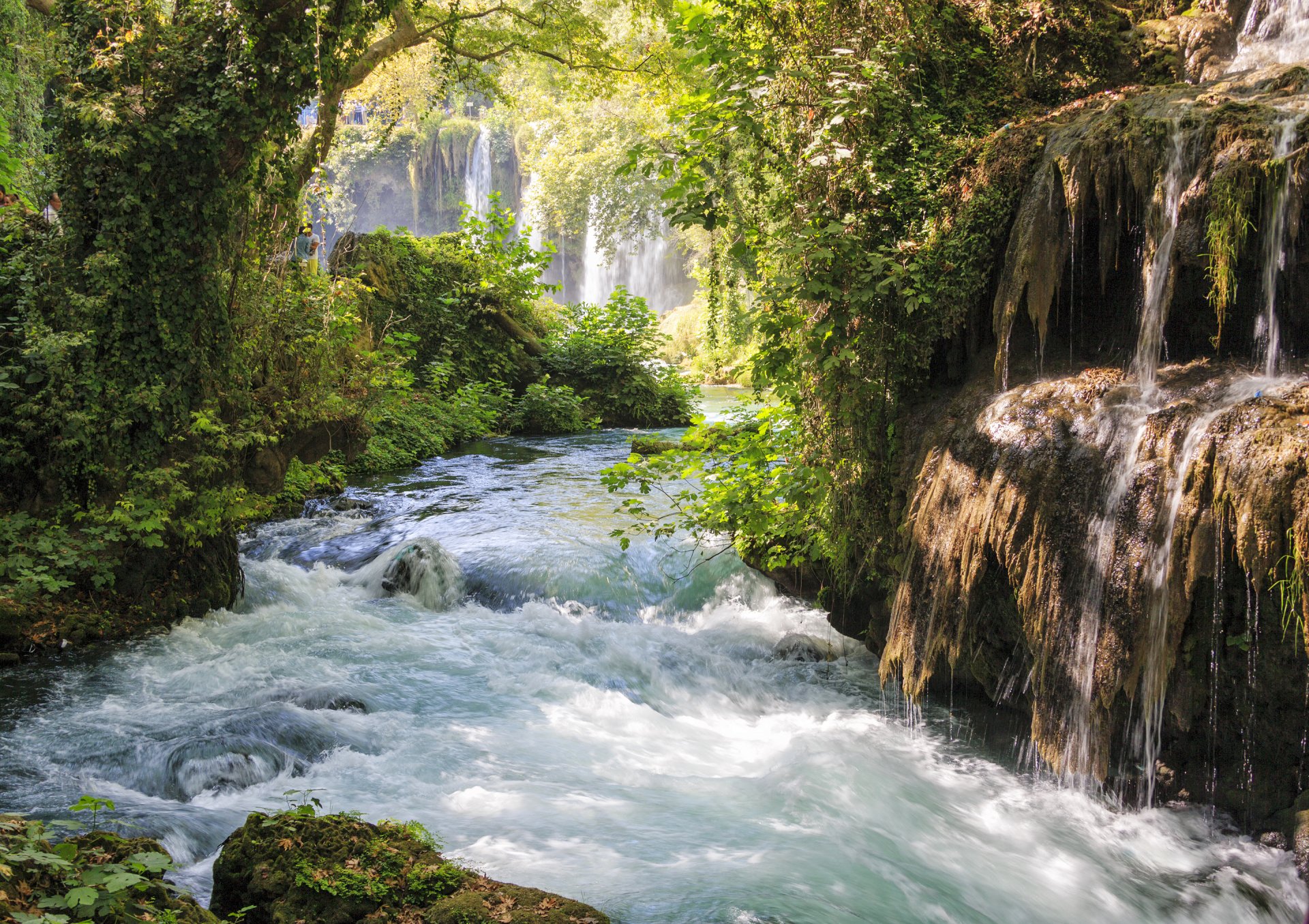 wald fluss strom steine bäume wasserfall