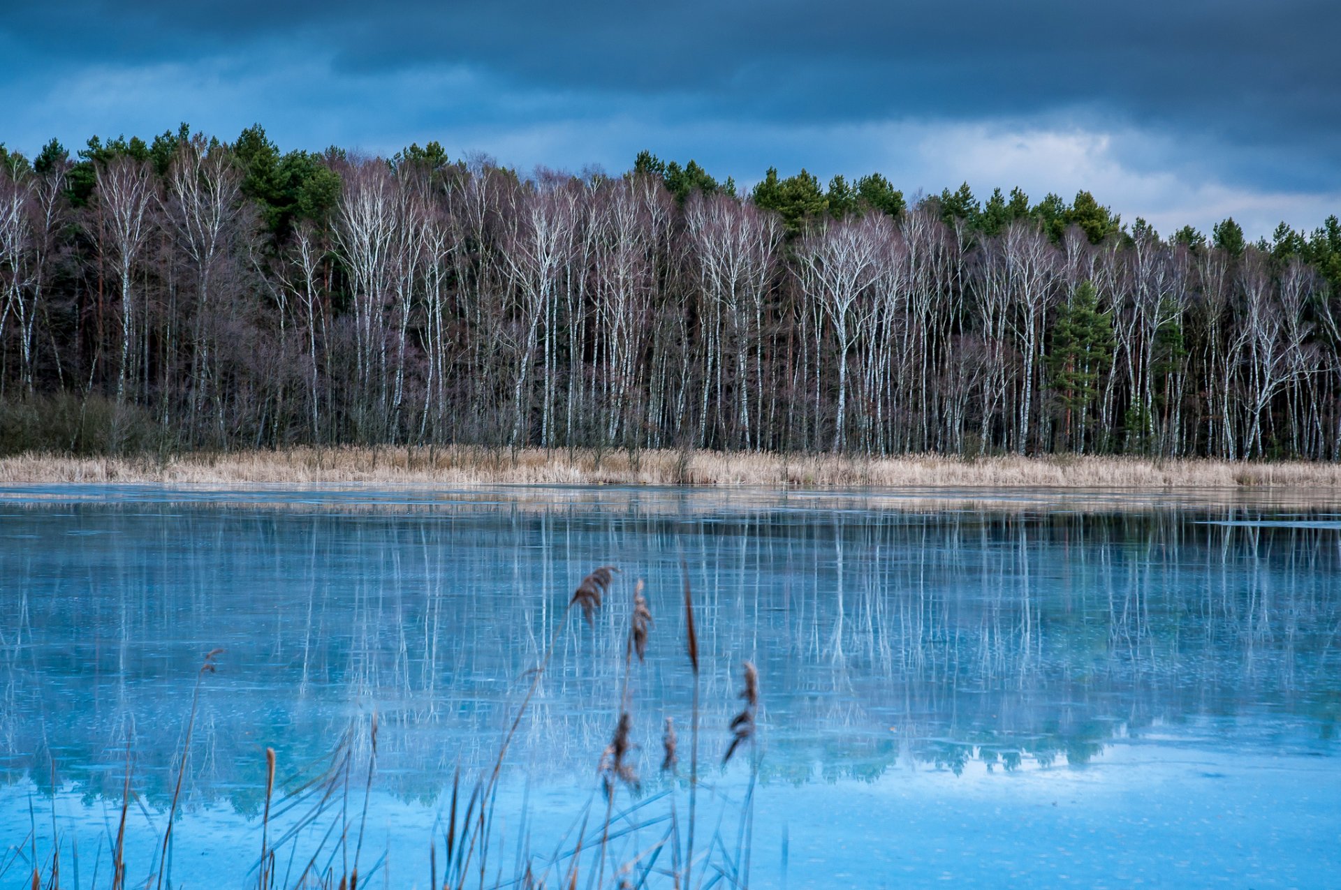 groß köris brandenburg deutschland himmel wald fluss bäume herbst