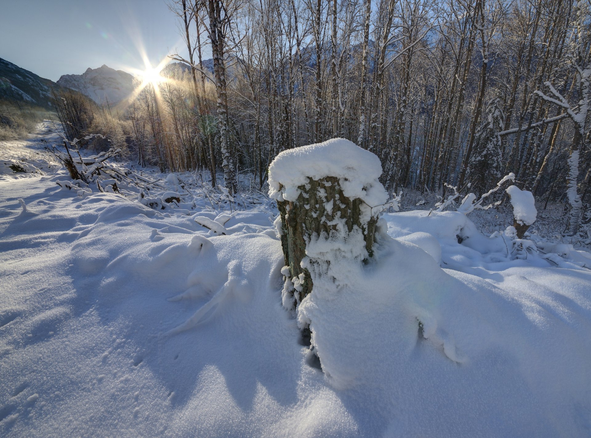 berge tag winter schnee bäume stumpf himmel sonne