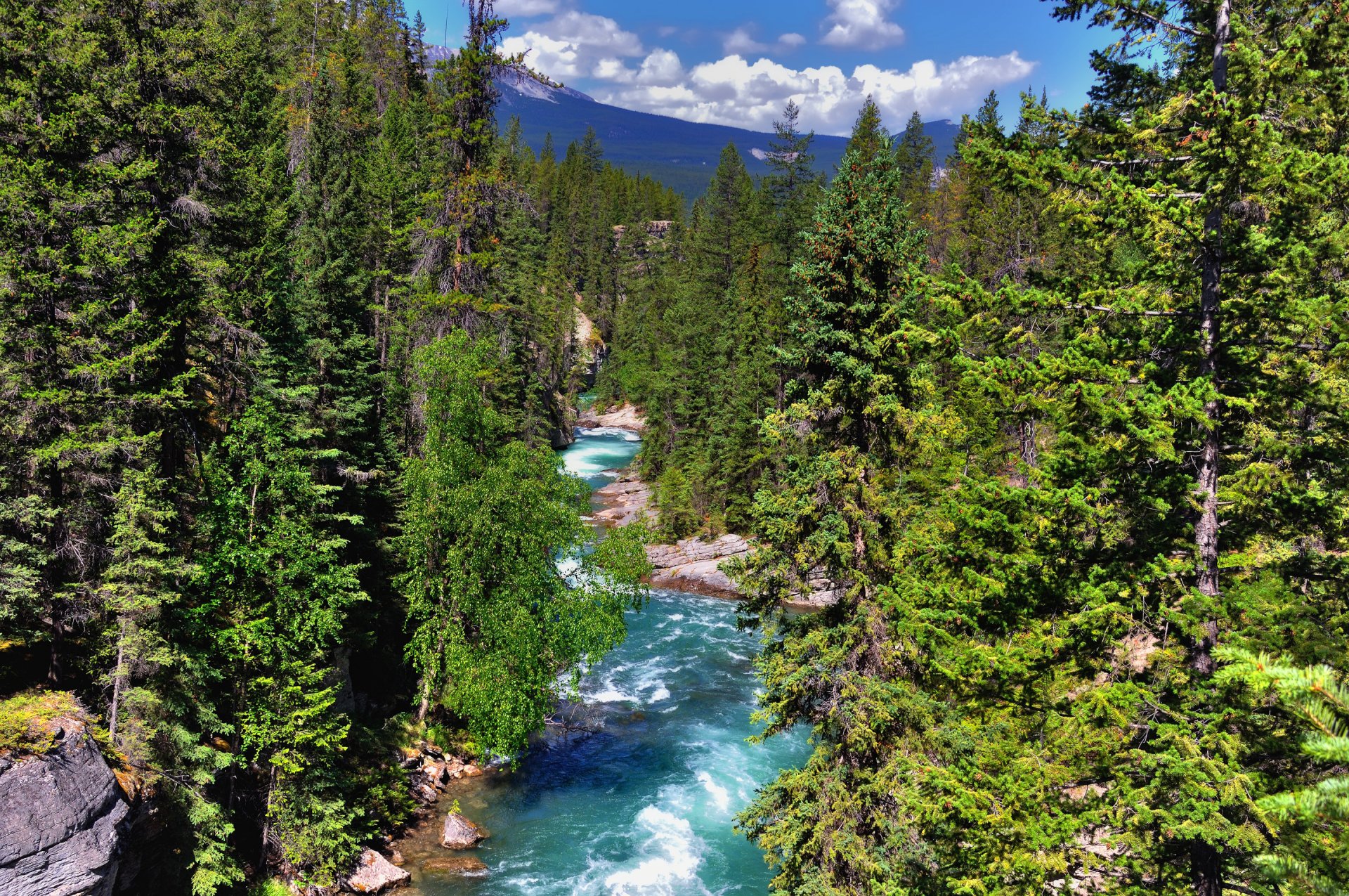 jasper national park albert canada mountain forest tree river sky cloud