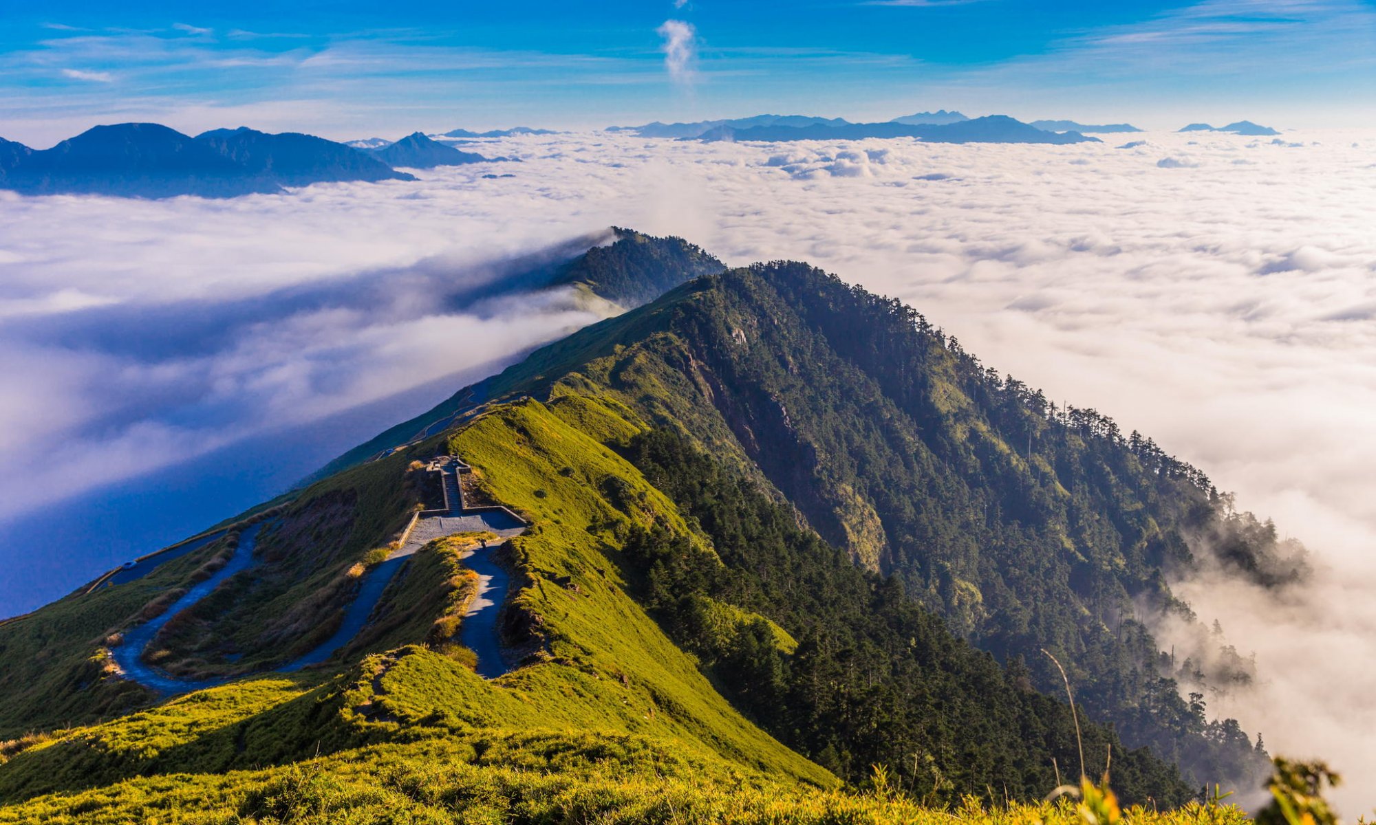 berge wald morgen wolken panorama natur