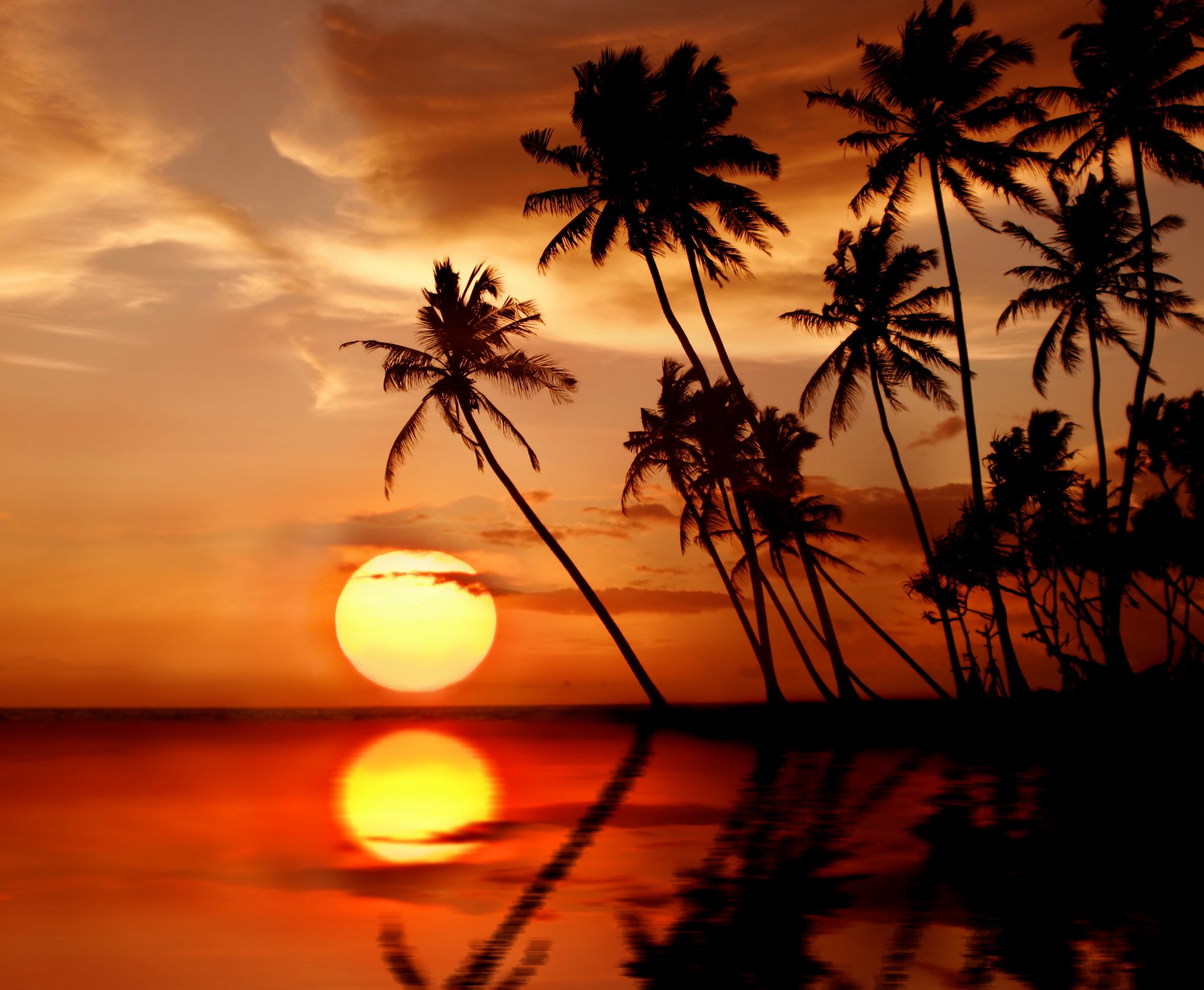 tropical paraíso playa palmeras mar puesta de sol trópicos sol