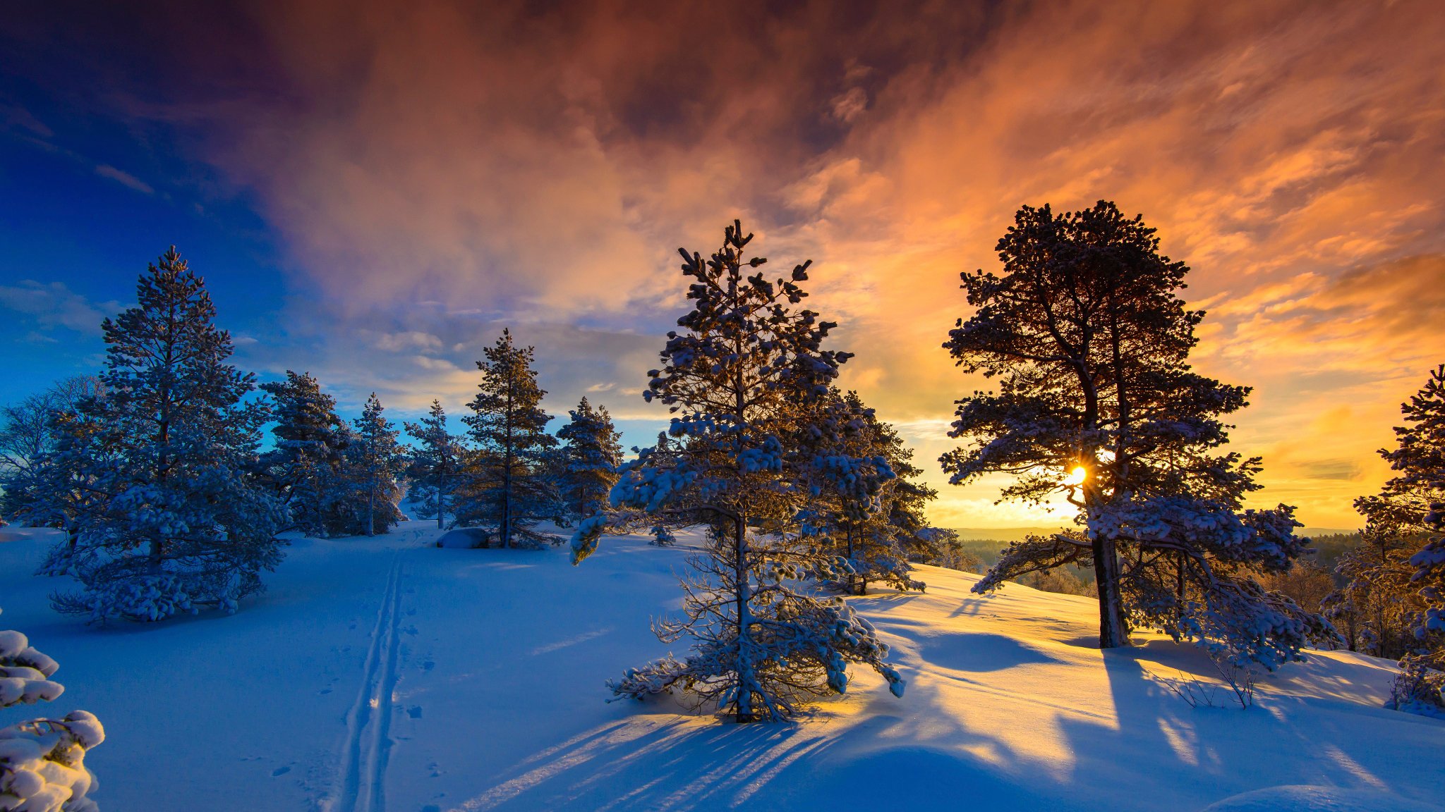 noruega invierno nieve naglestadheia escarcha y el sol día maravilloso