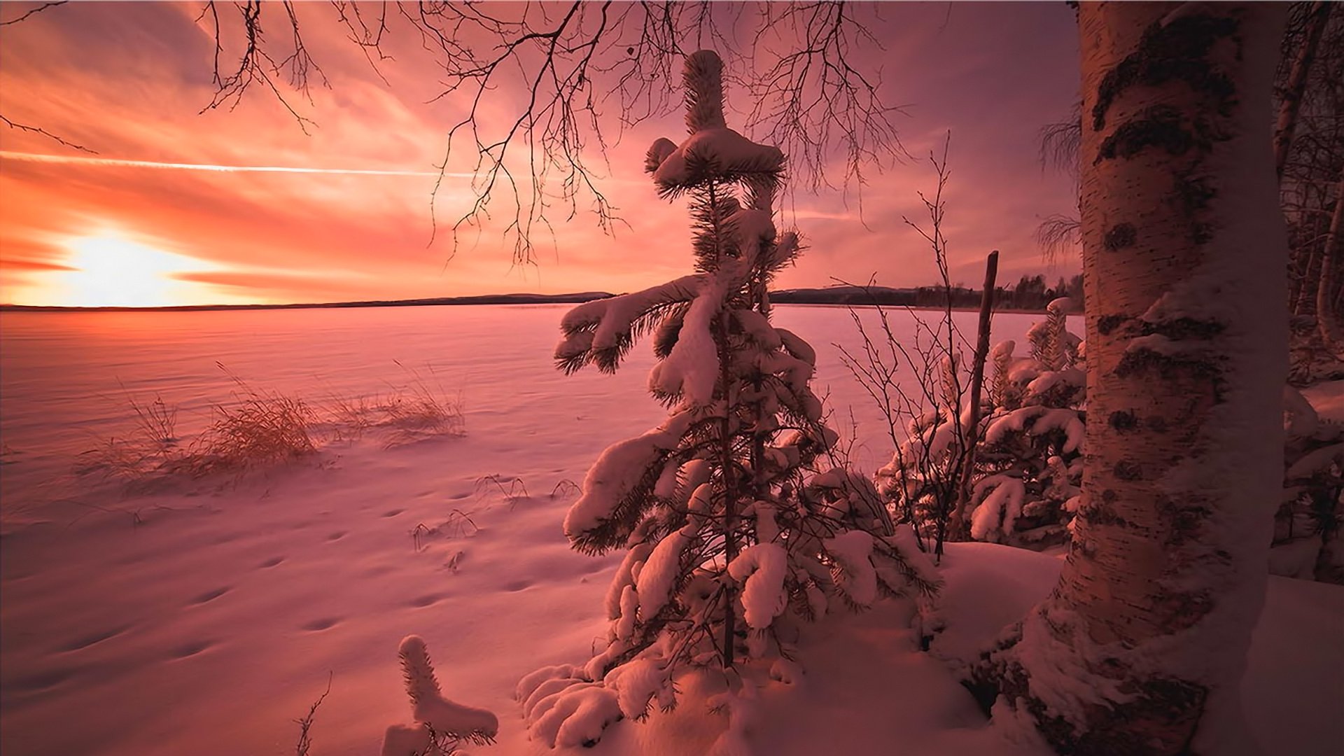 ciel nuages coucher de soleil hiver arbre neige