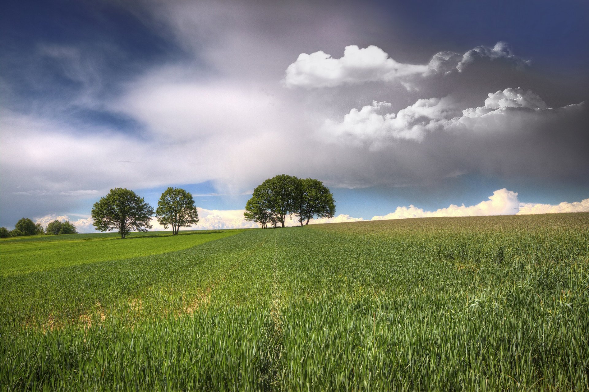 campo alberi cielo nuvole