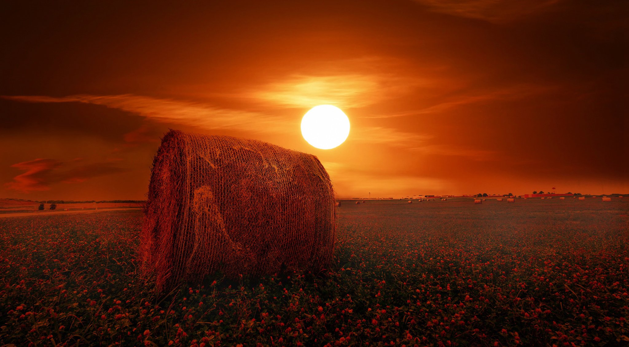 campo trébol sol heno rollos