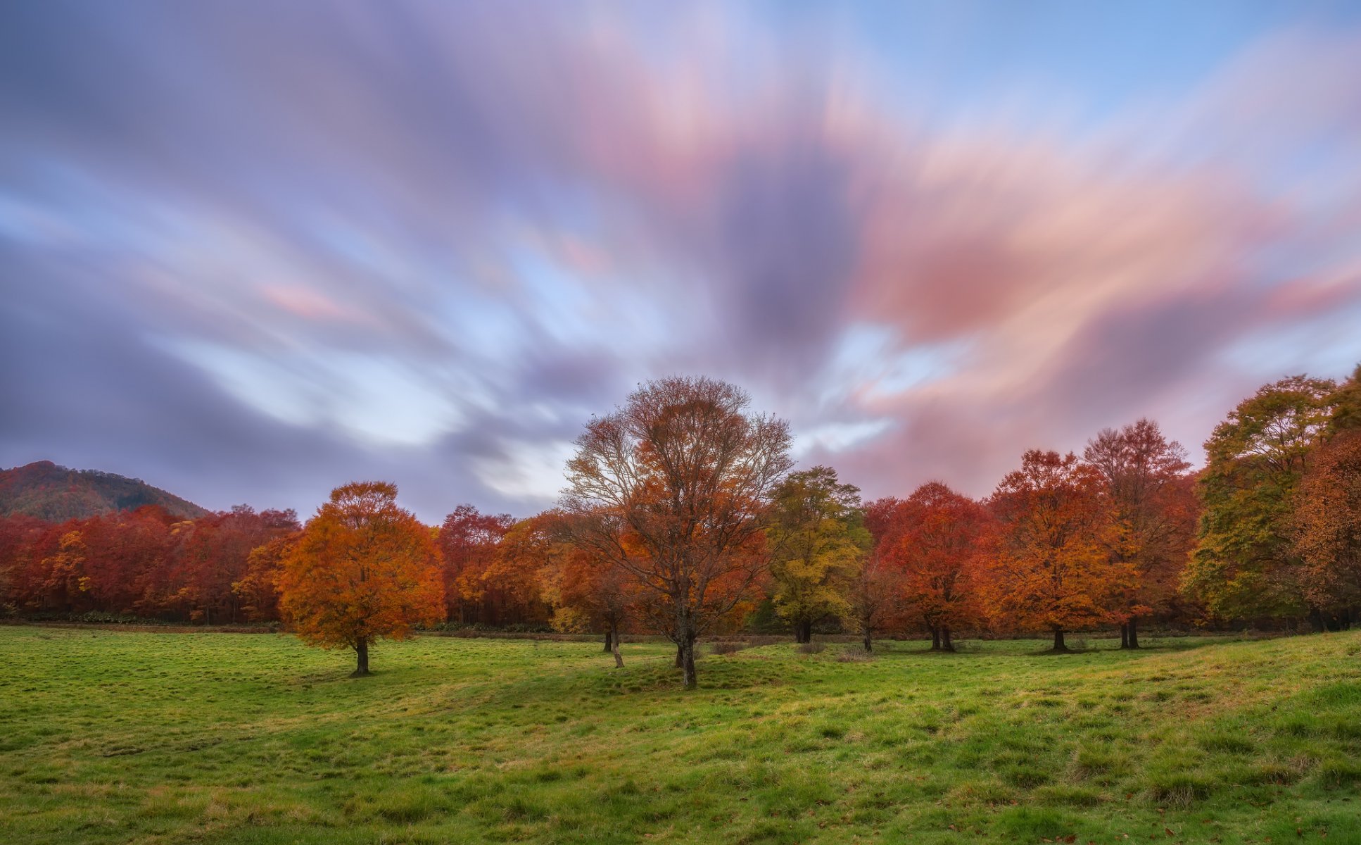 herbst lichtung gras bäume himmel wolken