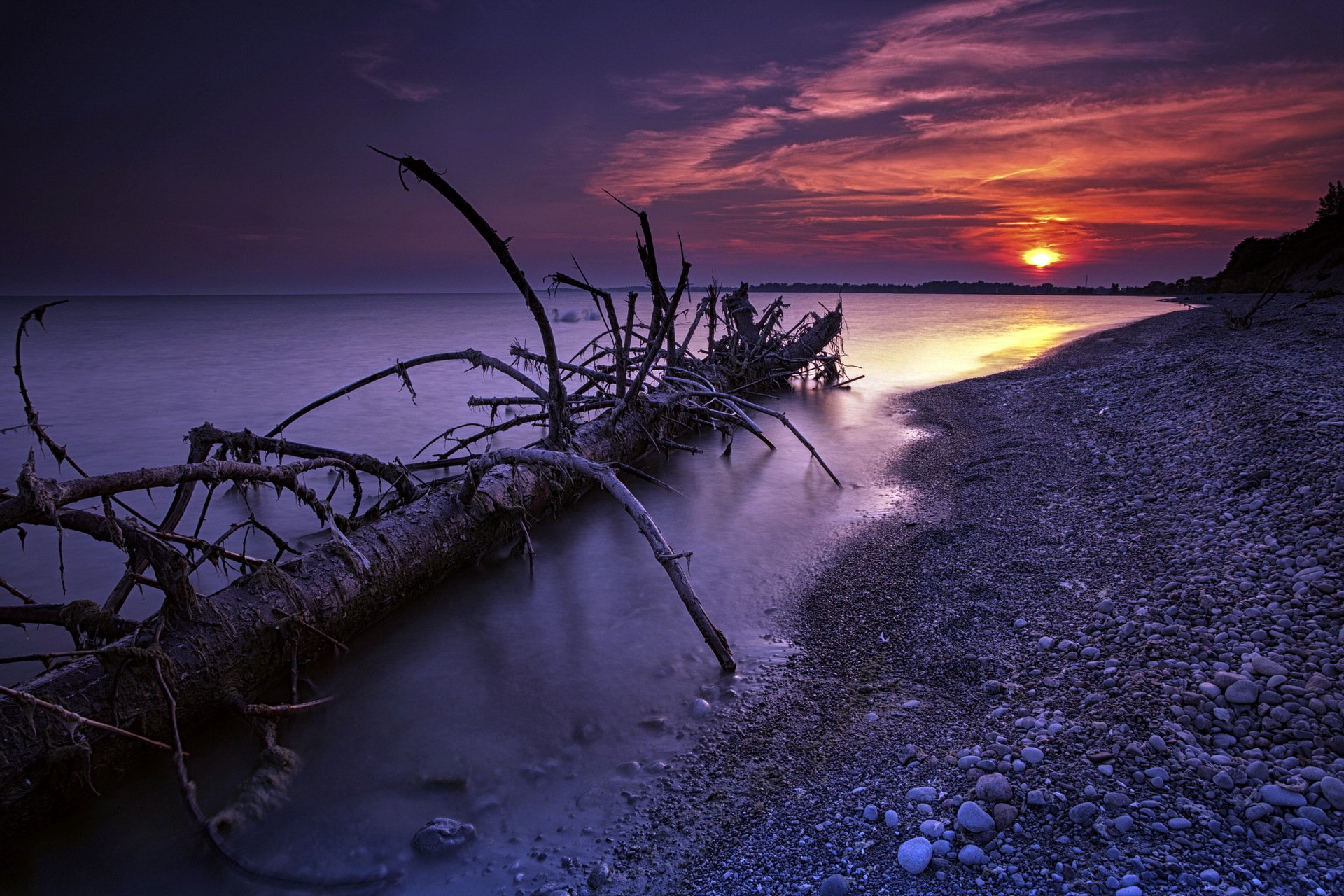 ночь море дерево пейзаж