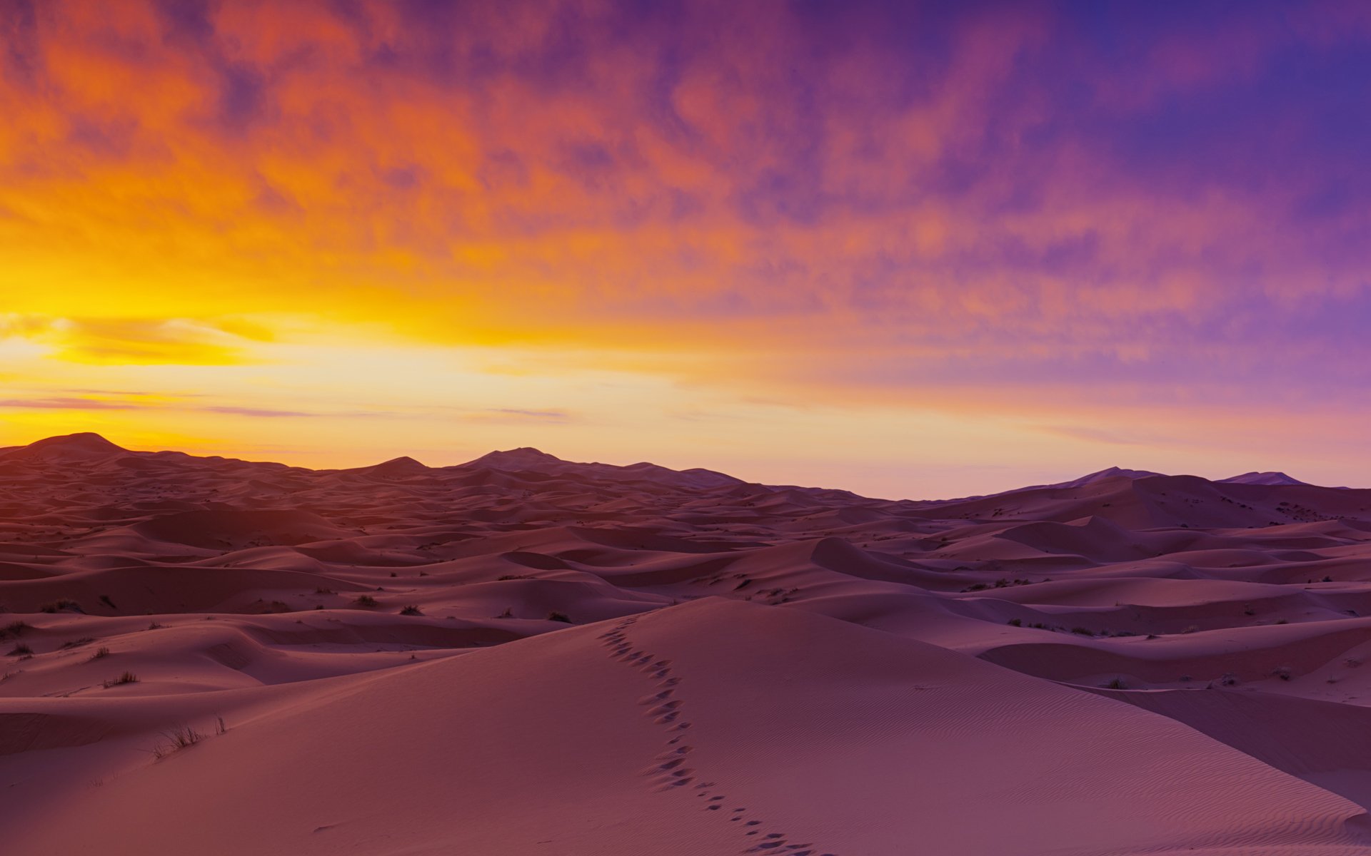 ummer horizon sky clouds desert traces nature