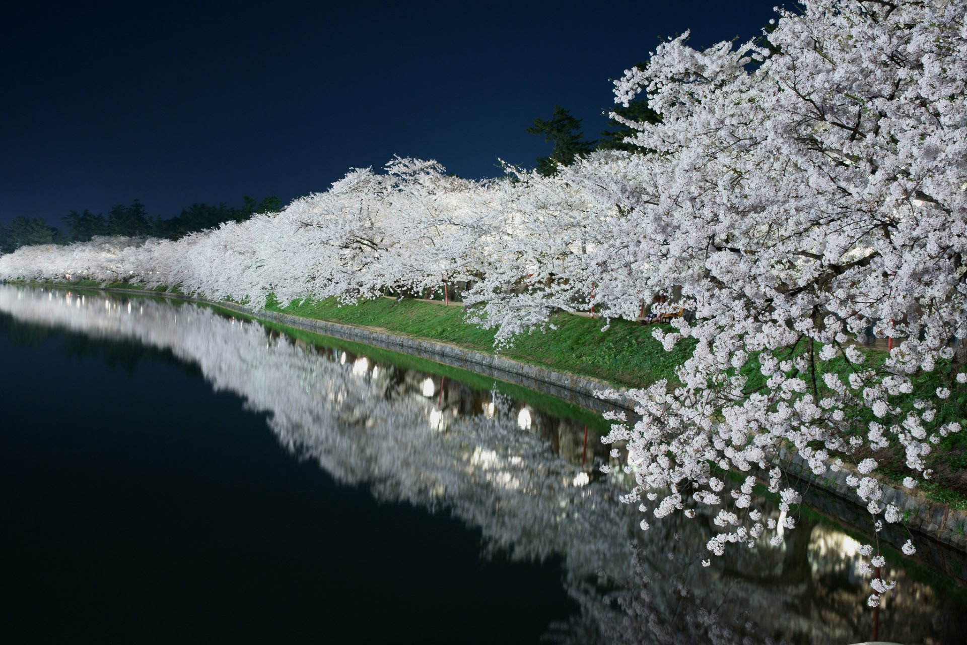 noche luz jardín primavera floración canal estanque