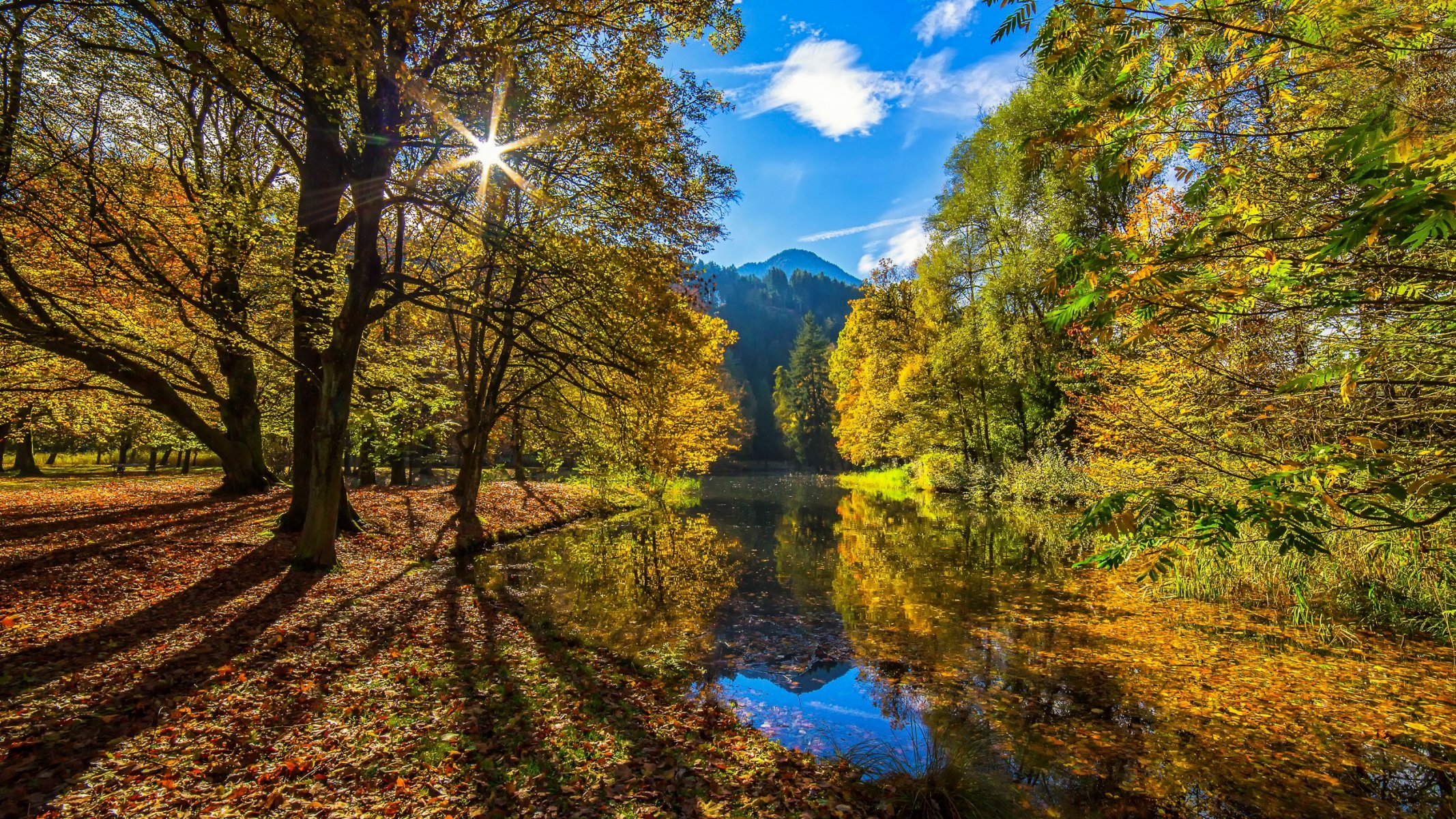 autumn sun autumn sun forest river