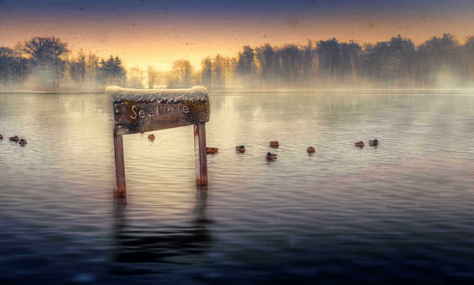 lago patos nieve manejo