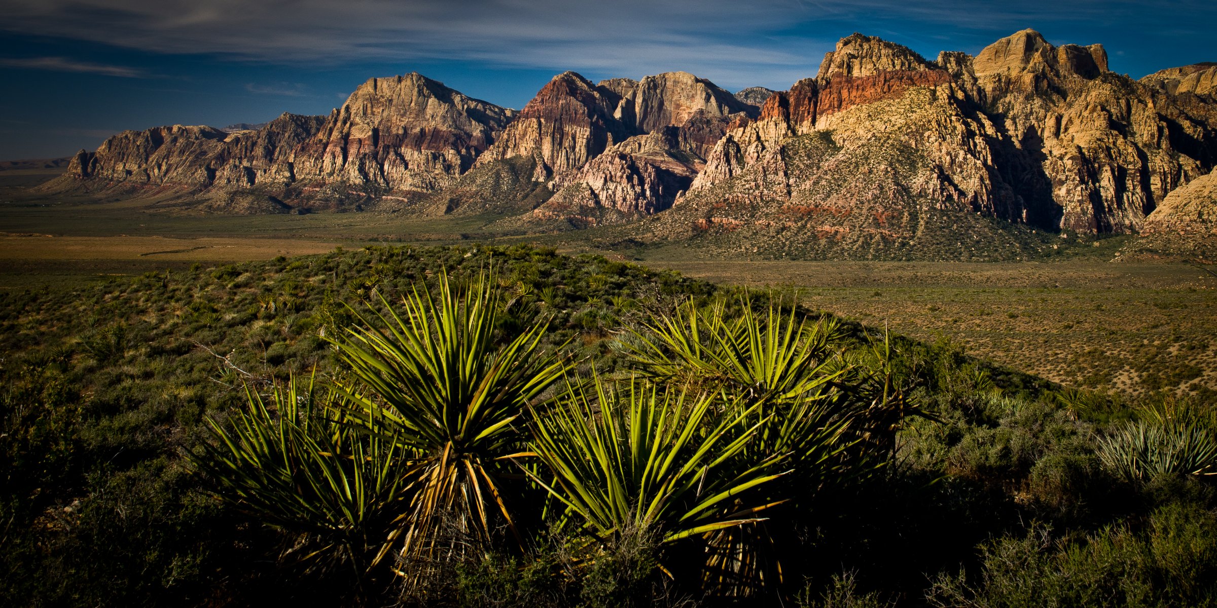 юкка пустыня лас-вегас red rock canyon каньон