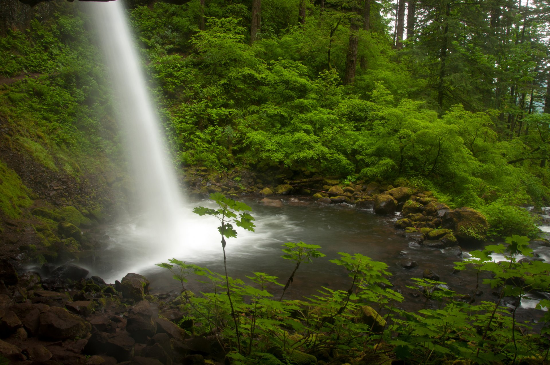 tail falls fiume columbia oregon fiume columbia cascata flusso foresta