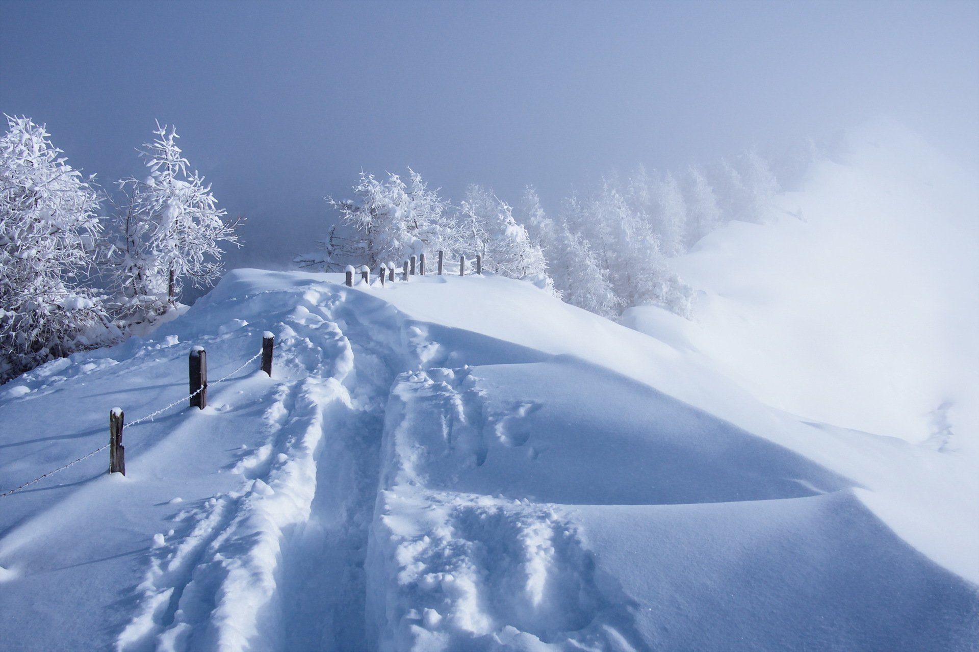 winter schnee zaun nebel