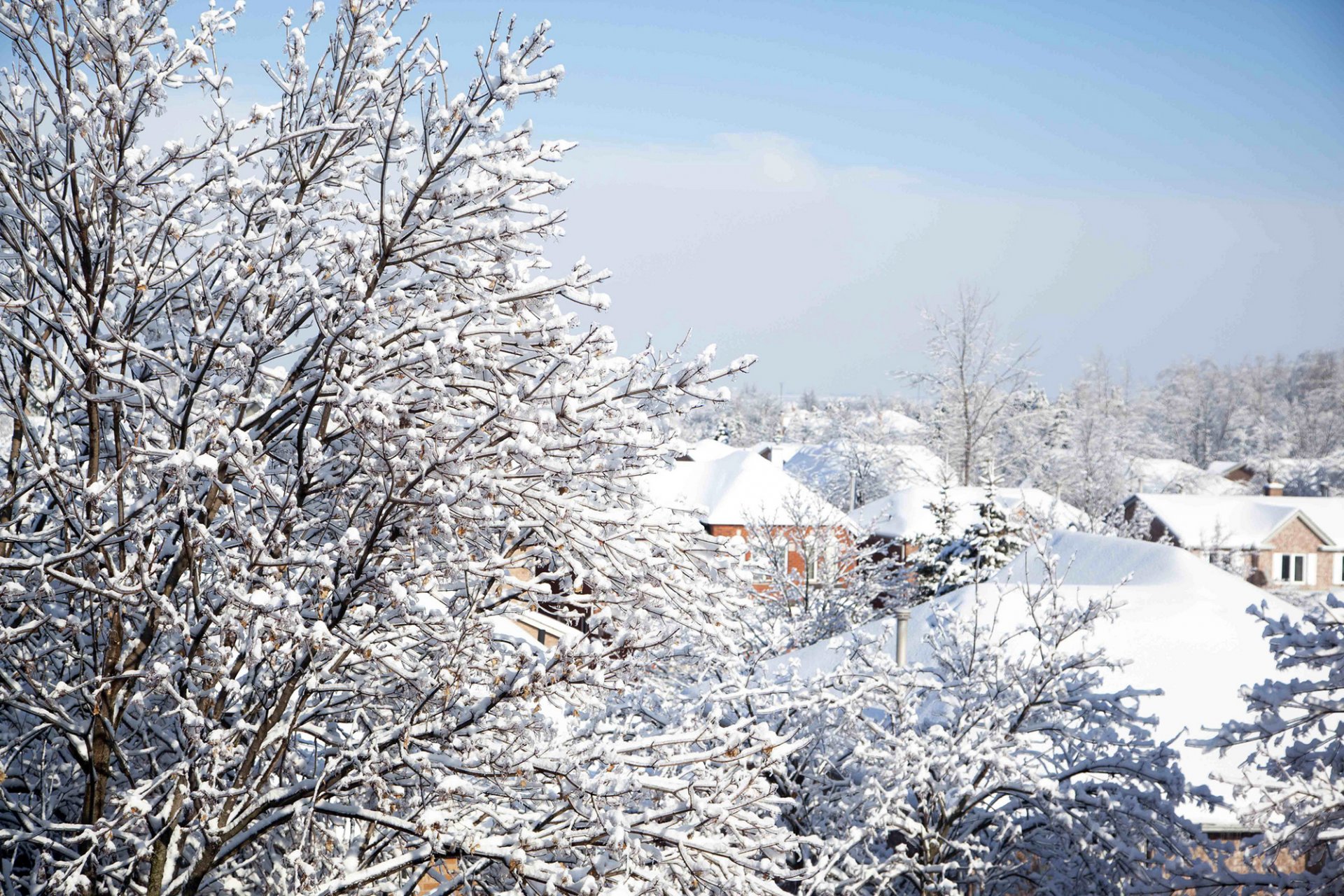 winter natur bäume zweige häuser gebäude dächer schnee himmel