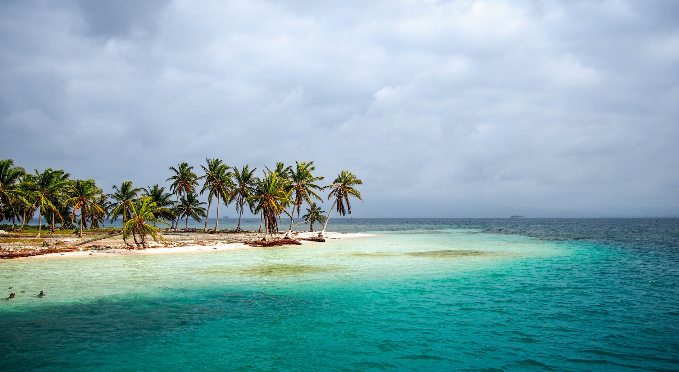 ea beach palm tropics panama