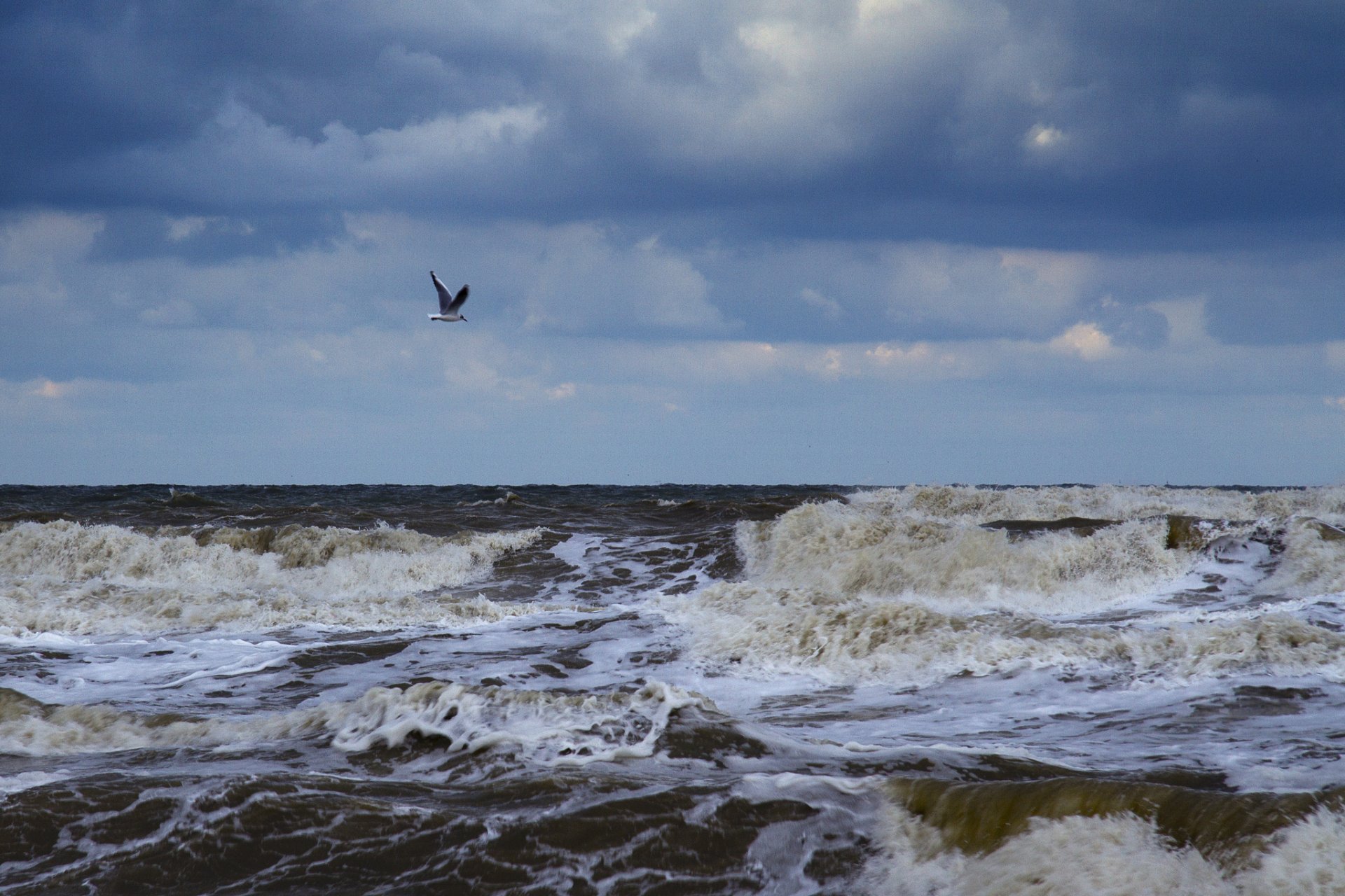 meer wellen schaum wolken möwe