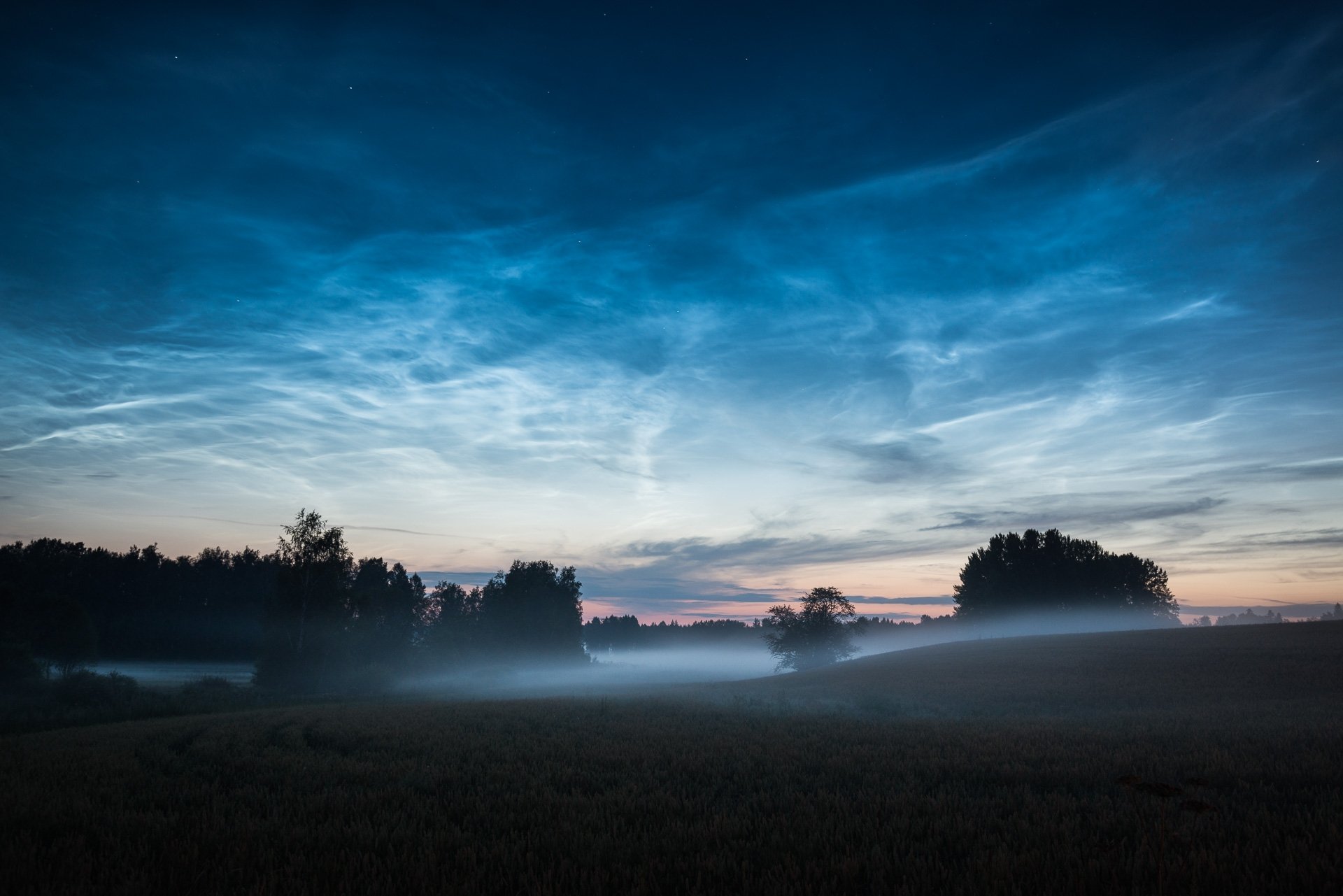 arbres collines brouillard matin aube