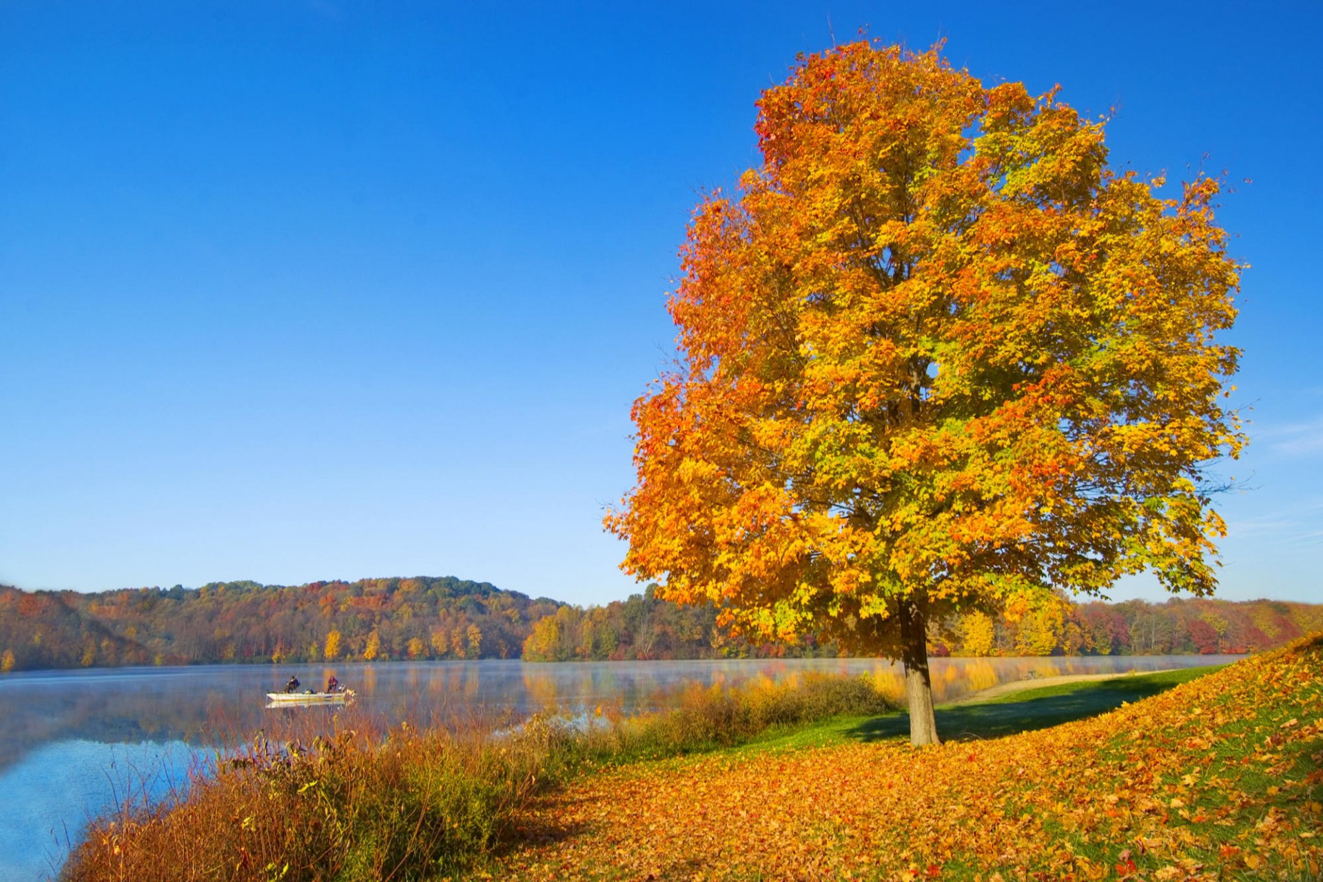 himmel fluss boot hügel herbst baum laub stille stimmung