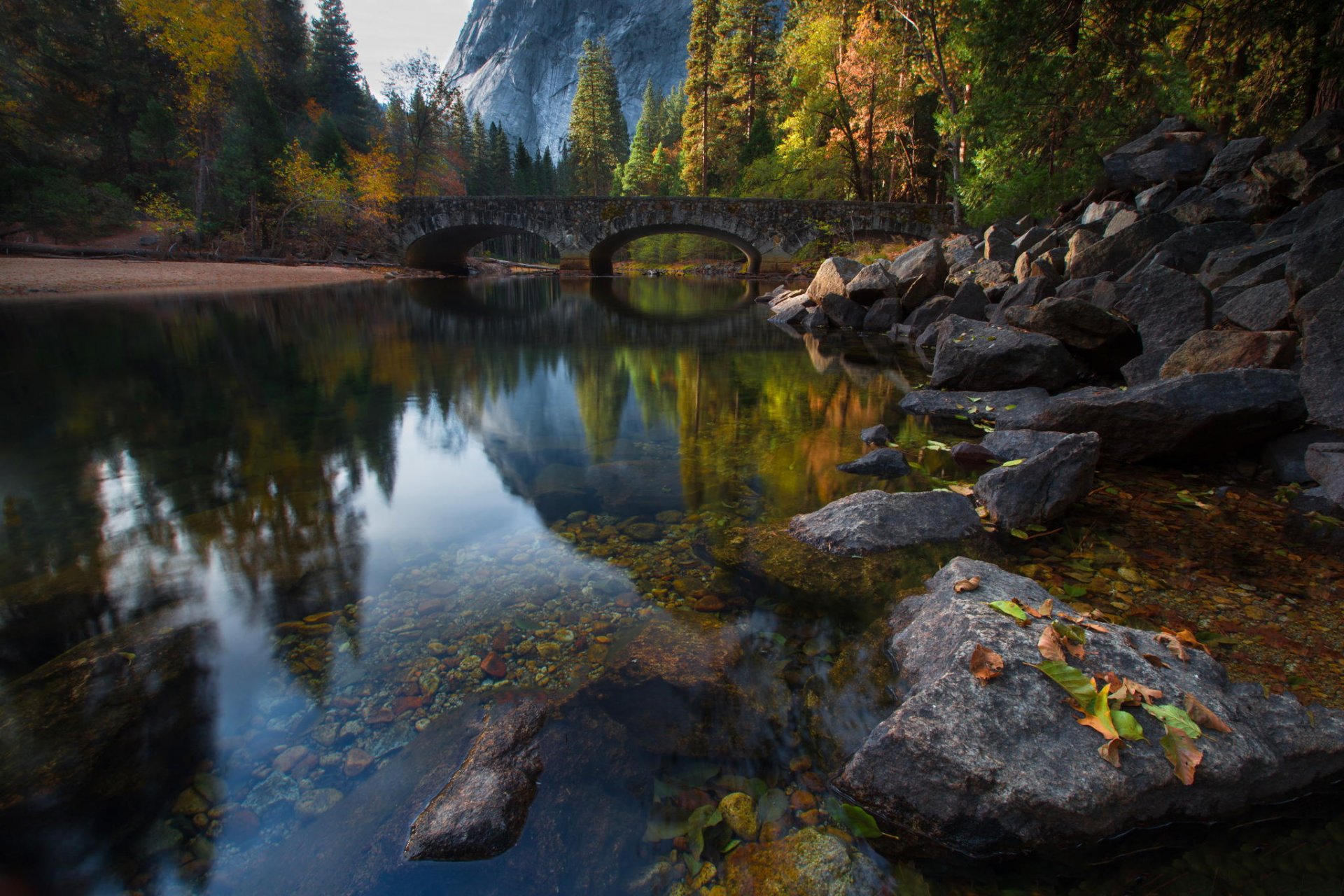 naturaleza río puente árboles bosque otoño