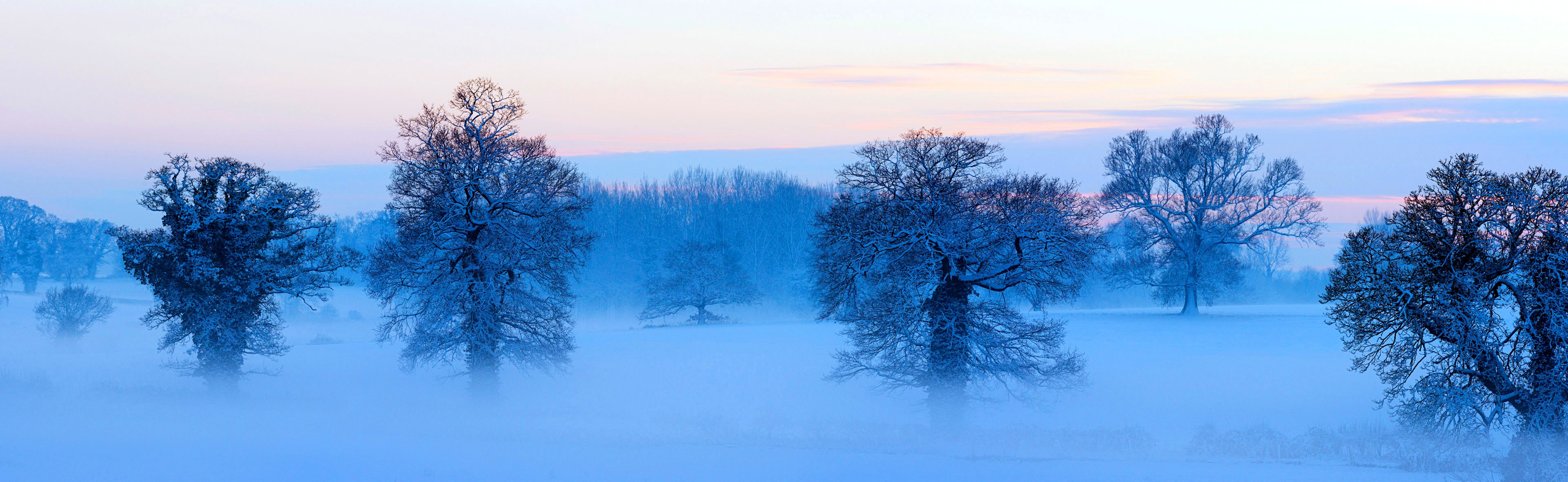 panorama niebo chmury mgła zima drzewa śnieg