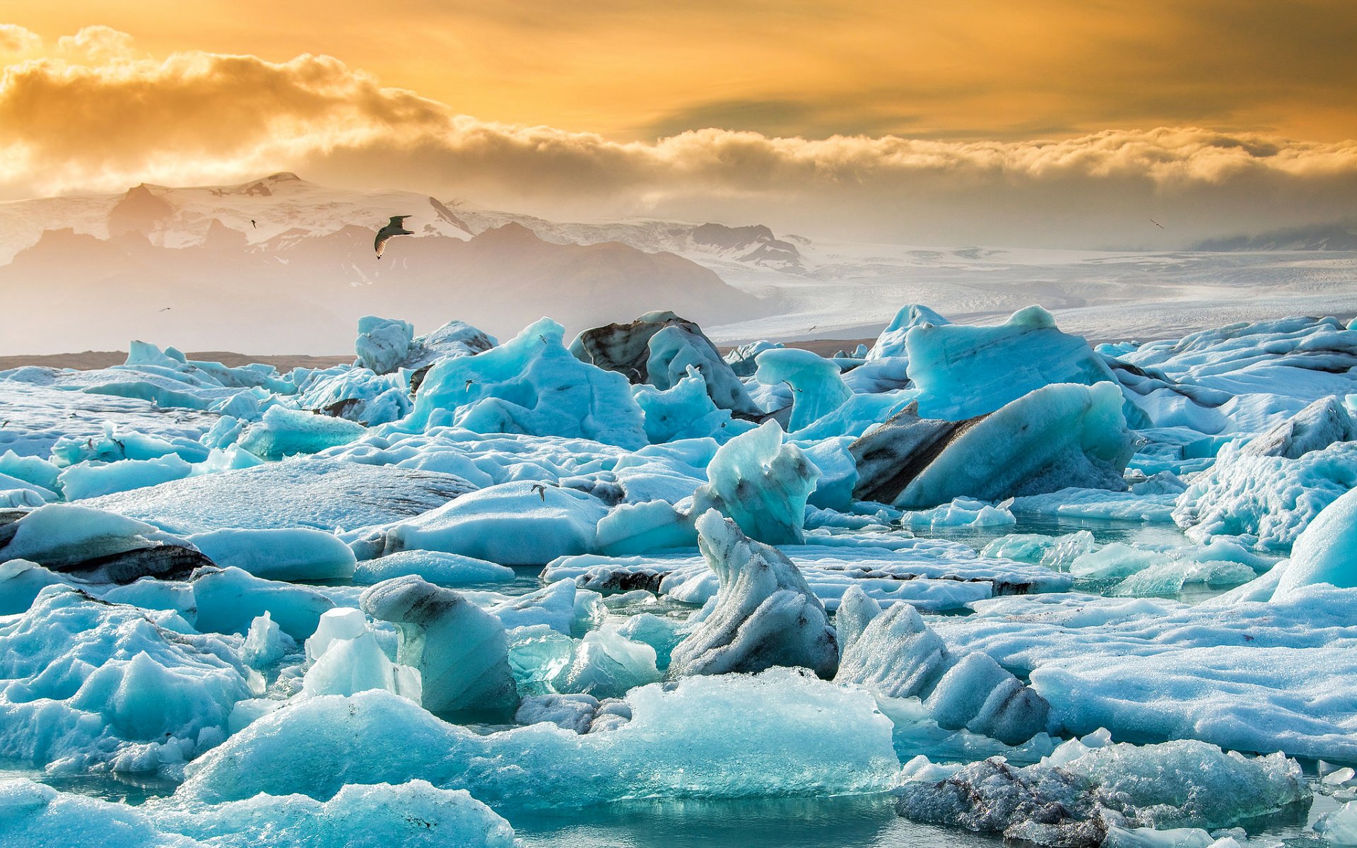 iceland jökulsárlón jökulsaurloun glacial lagoon lake ice floes ice snow sunset sky bird nature