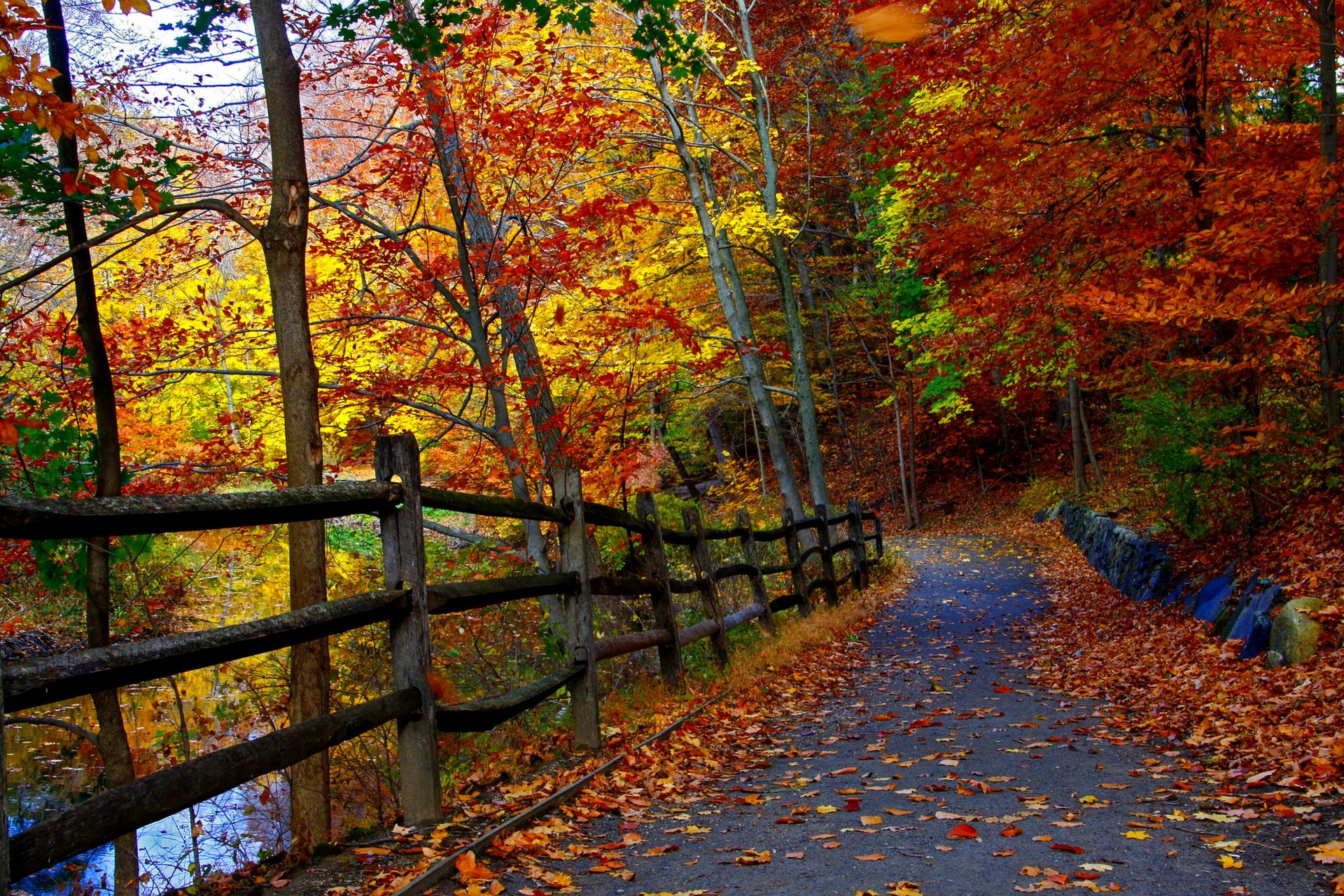 naturaleza paisaje bosque árboles otoño río otoño navegar parque caída